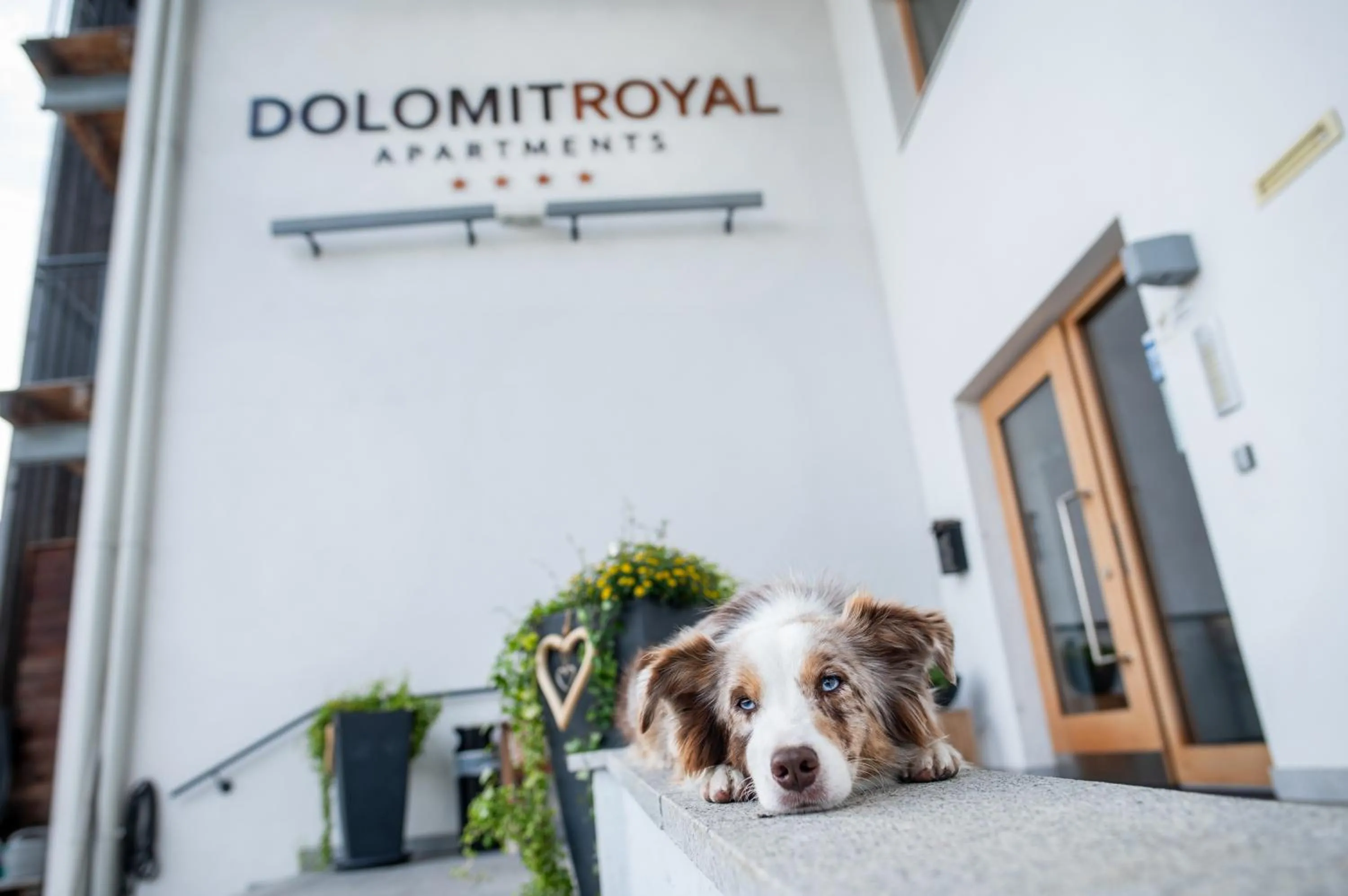 Apartments Dolomit-Royal