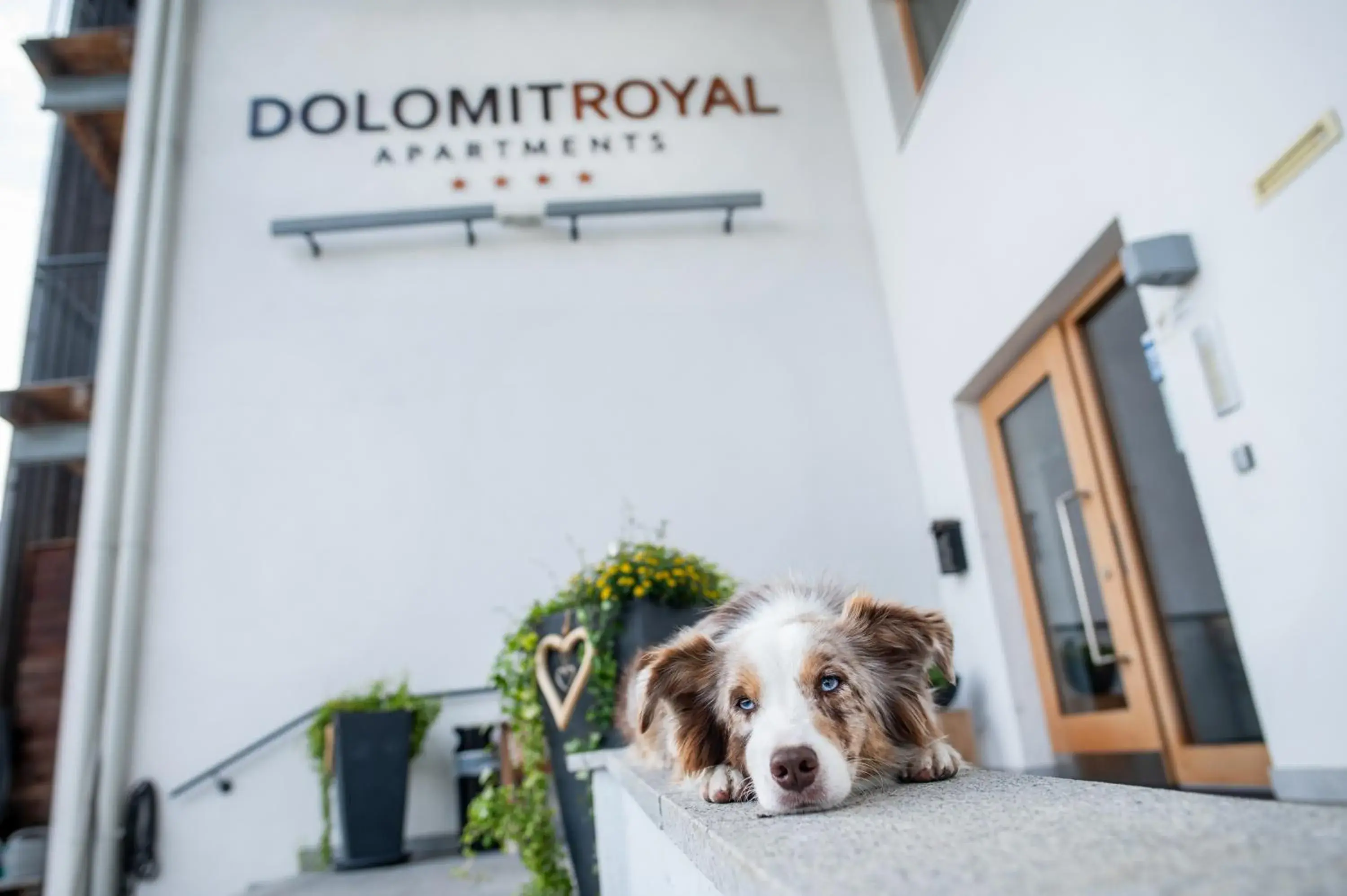 Apartment in Apartments Dolomit-Royal Apartment in Apartments Dolomit-Royal