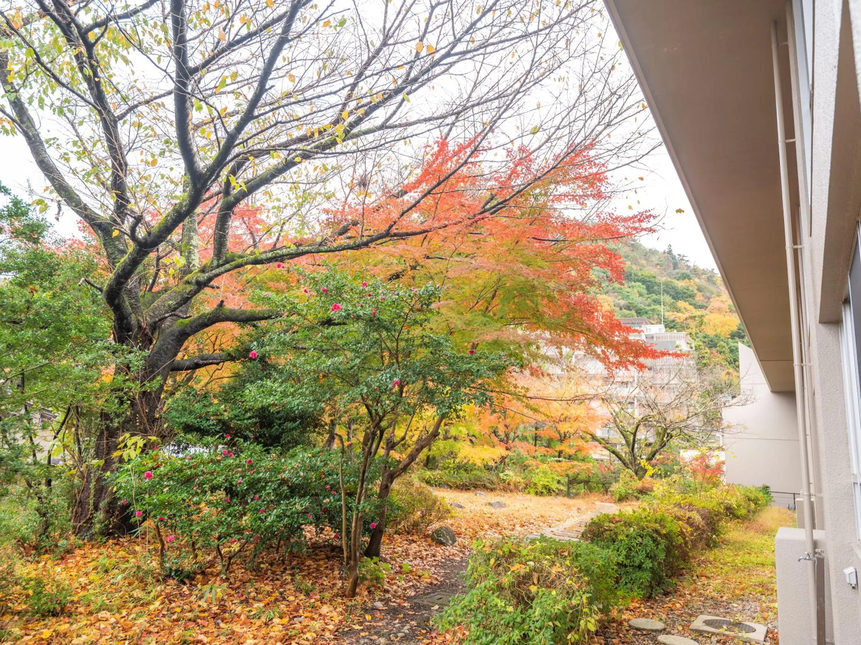 View (from property/room) in KAMENOI HOTEL Arima