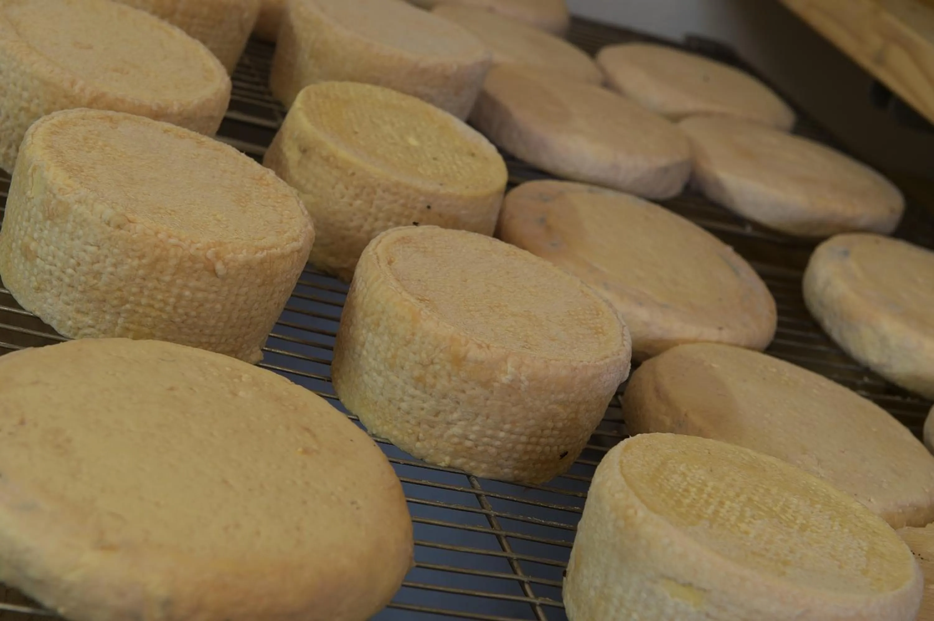 Food close-up in Hotel Gallo Cedrone