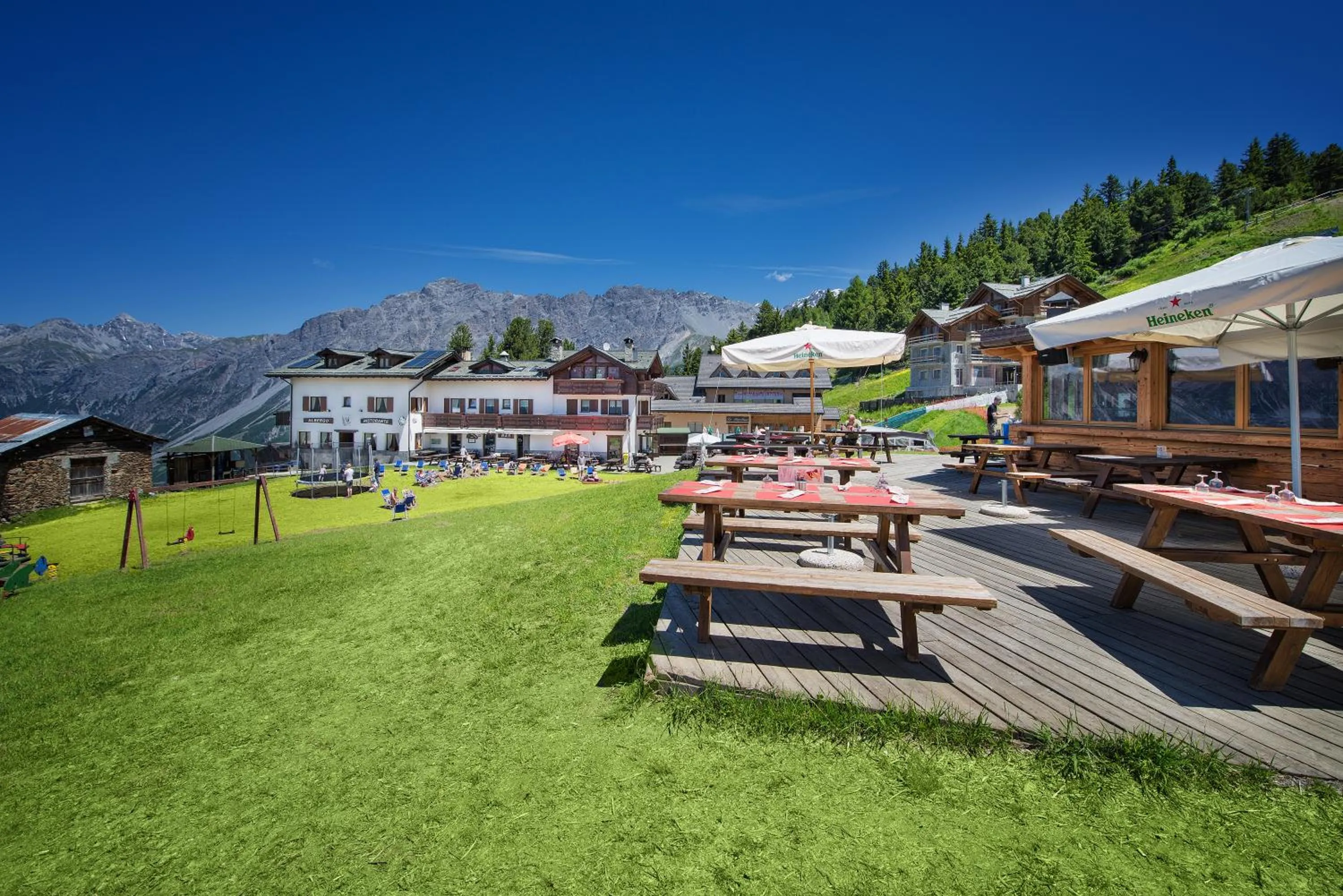 Restaurant/places to eat in Hotel Gallo Cedrone