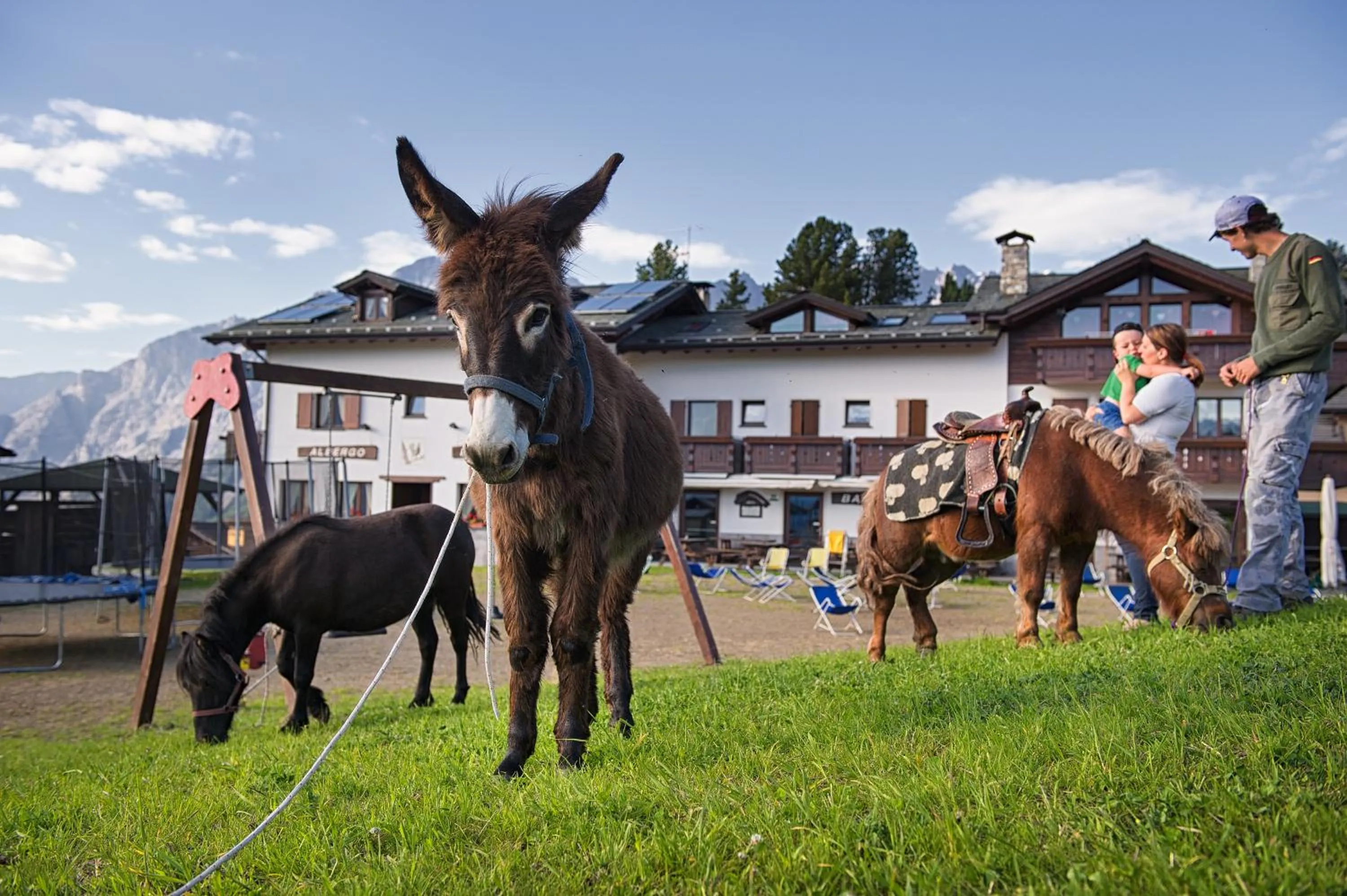 Staff in Hotel Gallo Cedrone