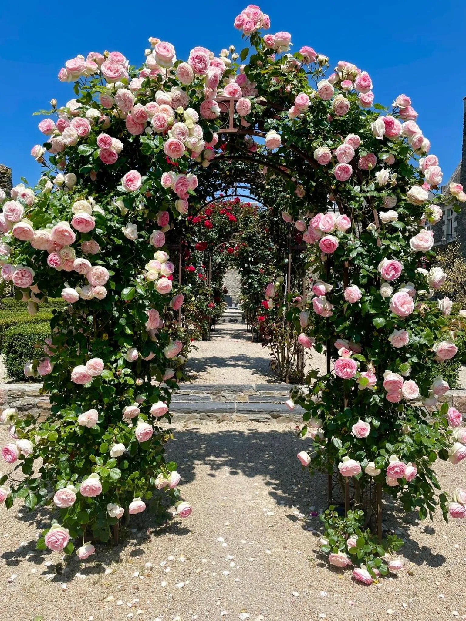 Garden in Château de l'Epinay