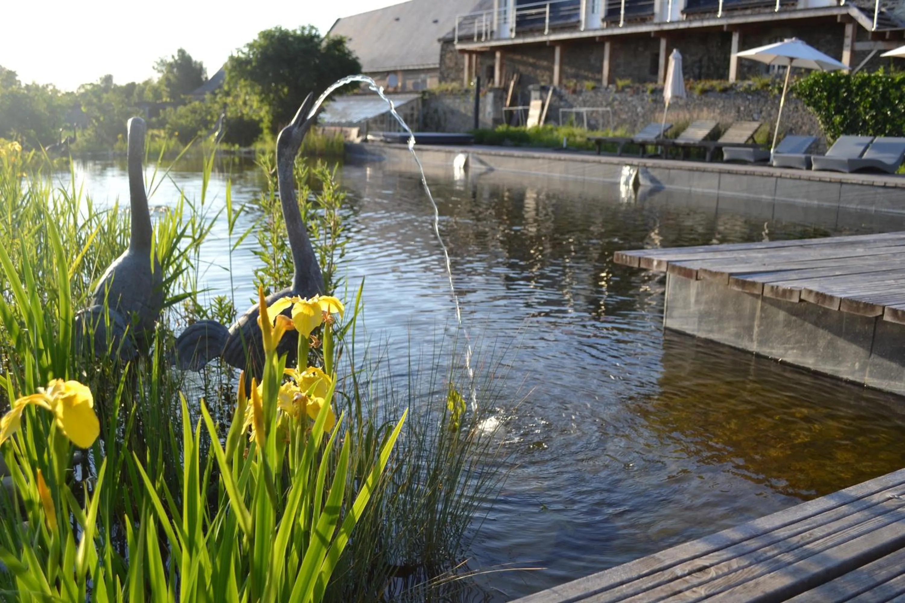 Swimming pool in Château de l'Epinay