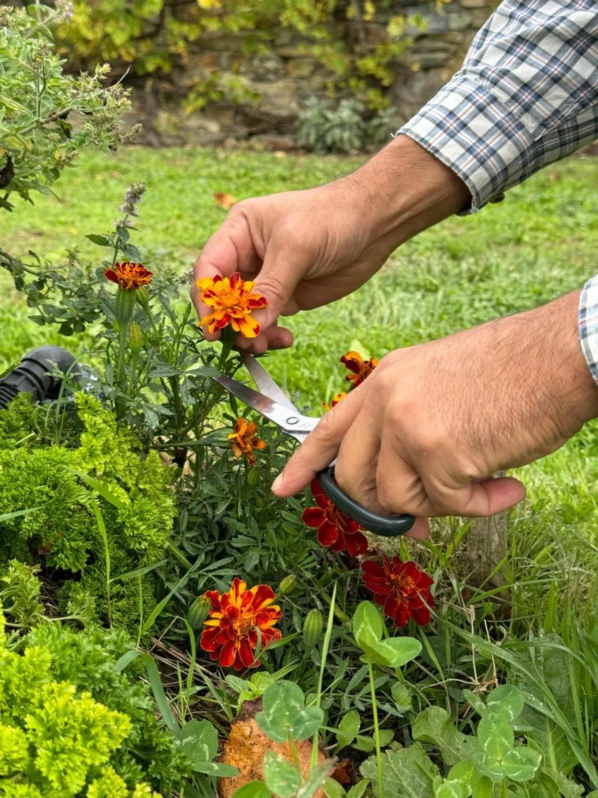 Restaurant/places to eat in Château de l'Epinay
