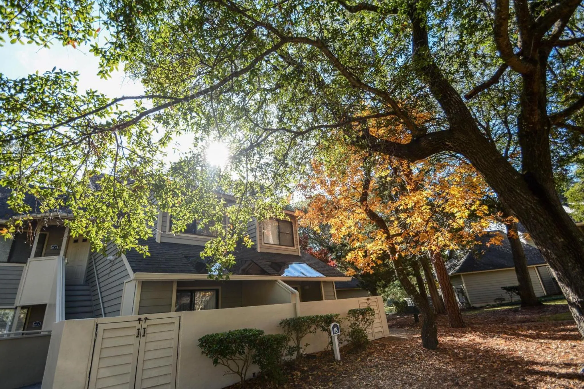 Palmetto Vacation Rentals at Kingston Plantation