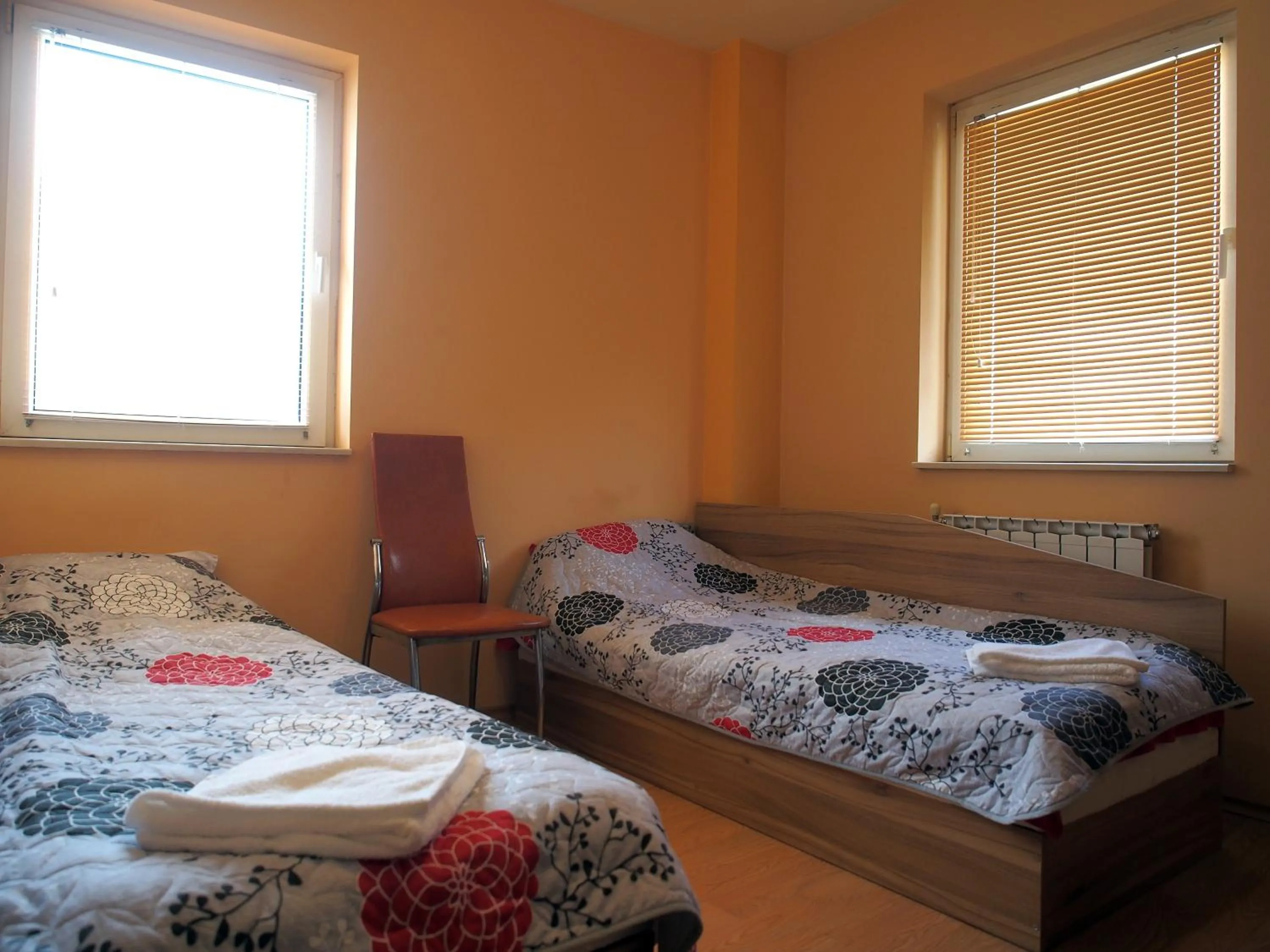 Standard Twin Room with Mountain View in Hotel Maria