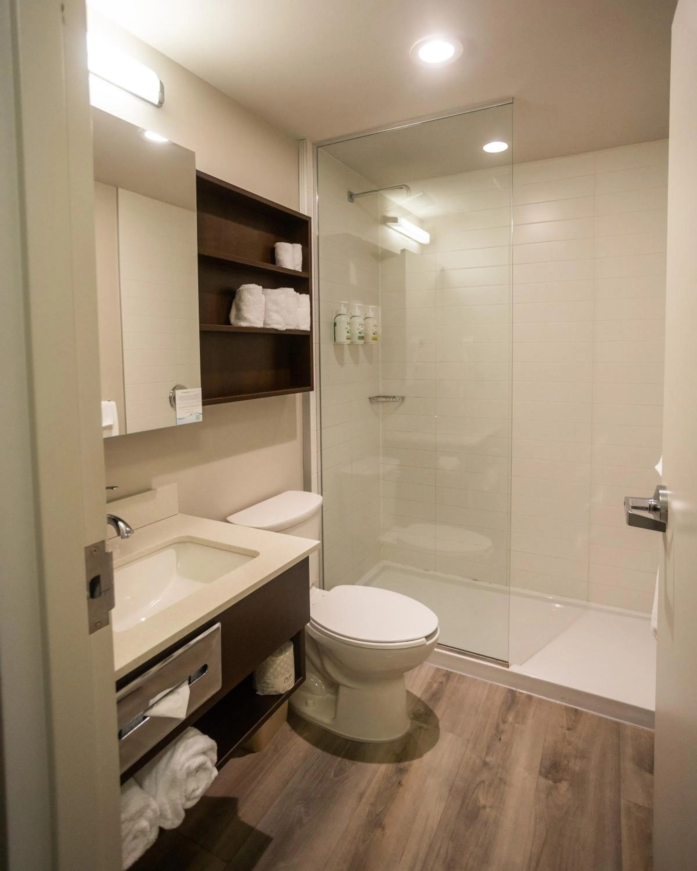 Shower in Microtel Inn & Suites by Wyndham Mont Tremblant