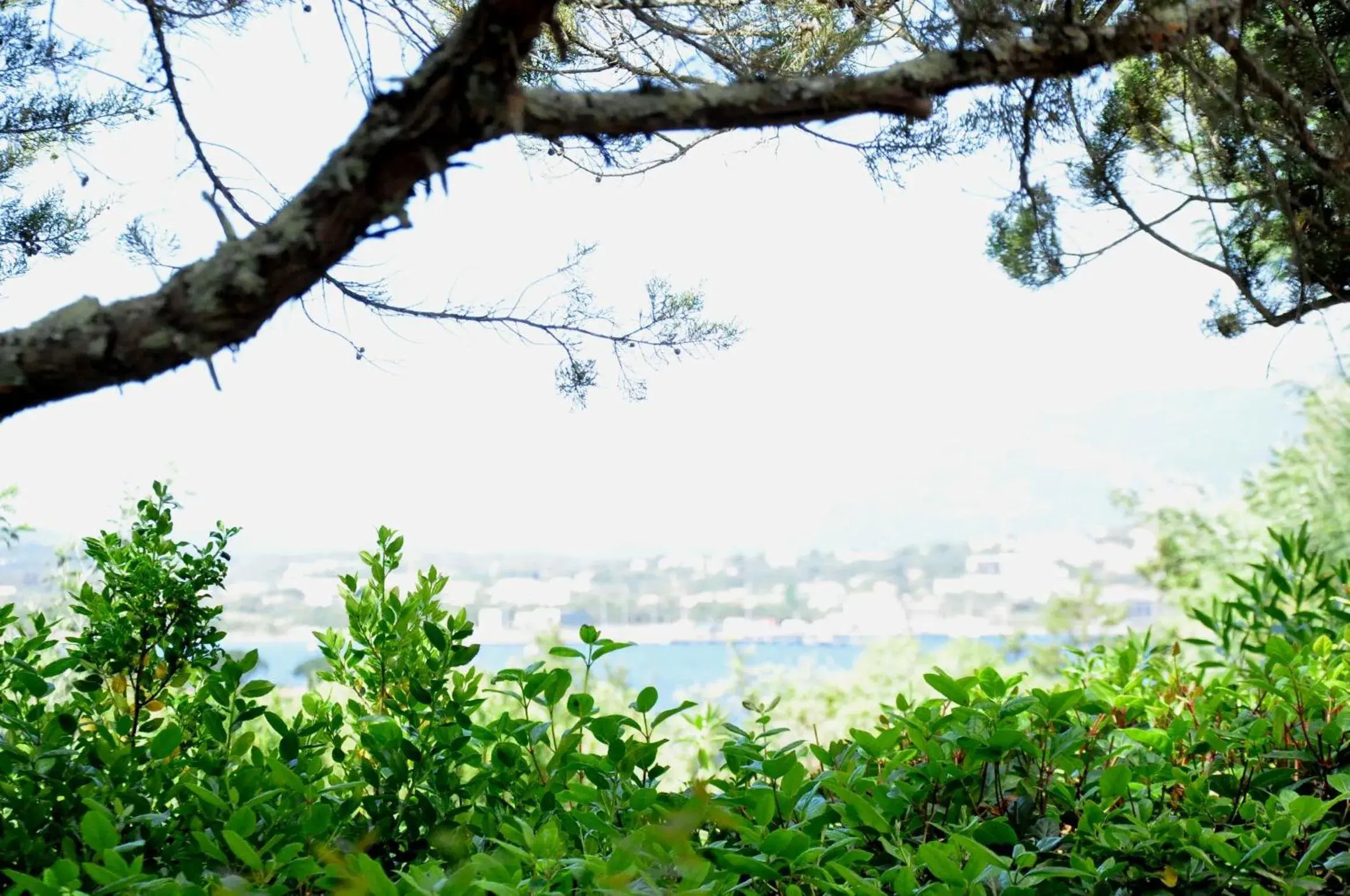 City view in Private Hôtel - Adults Only City view in Private Hôtel - Adults Only