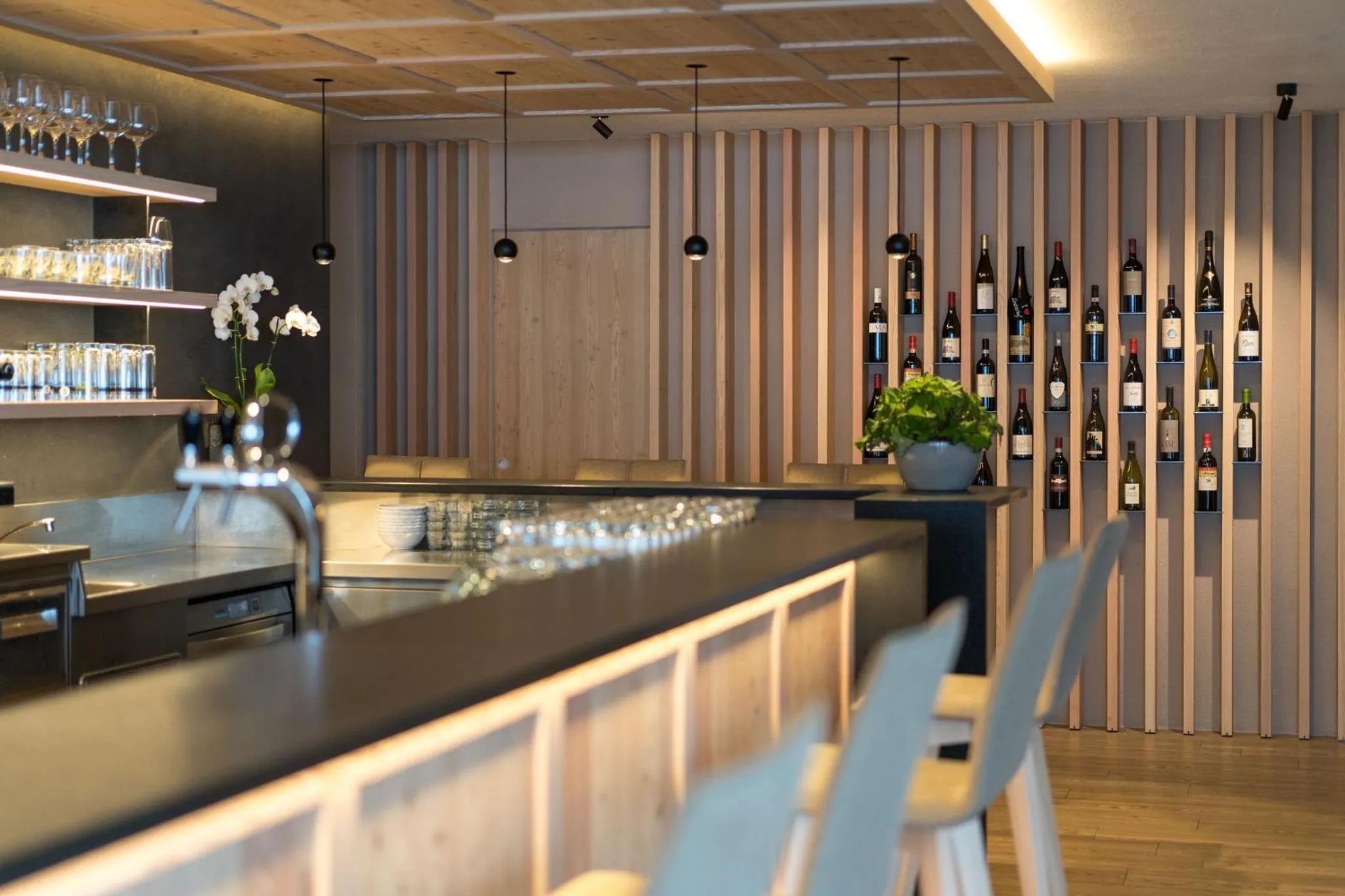 Lounge or bar in Hotel Lindnerhof