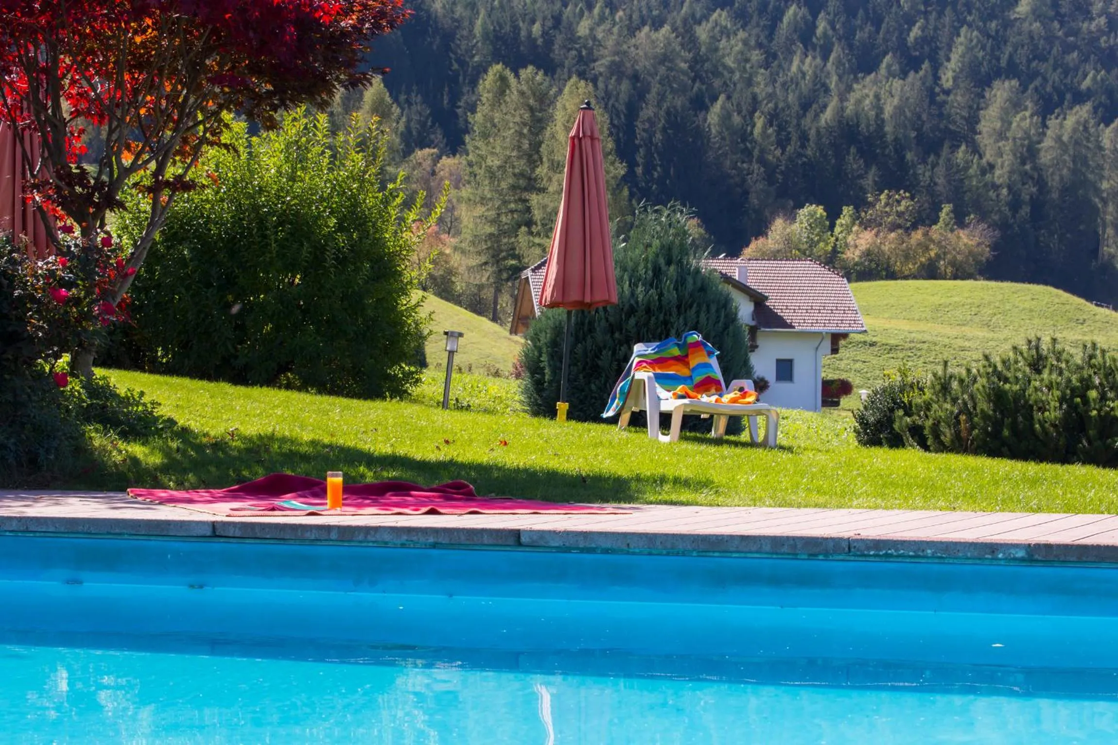 Natural landscape in Hotel Lindnerhof