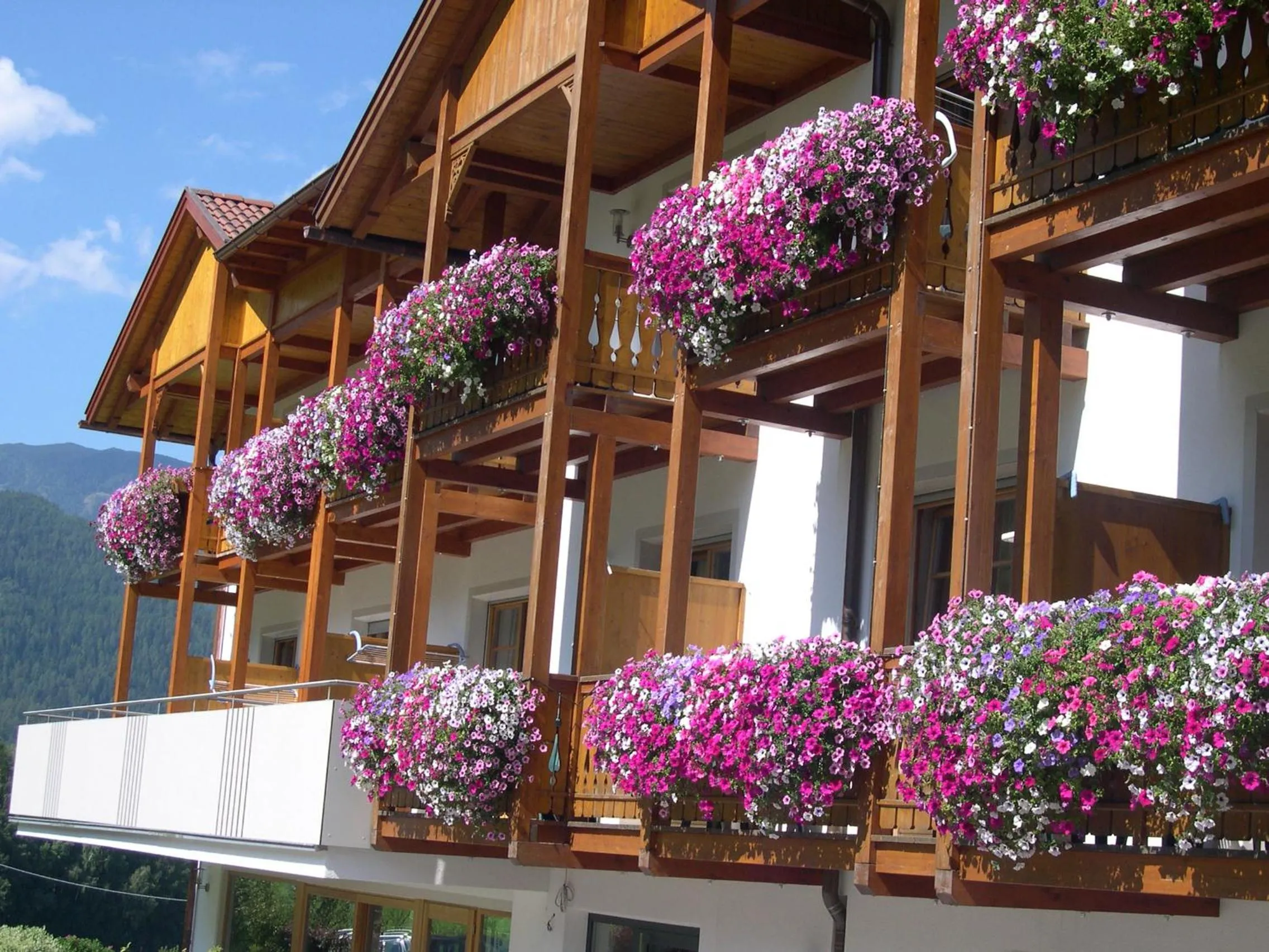 Day in Hotel Lindnerhof