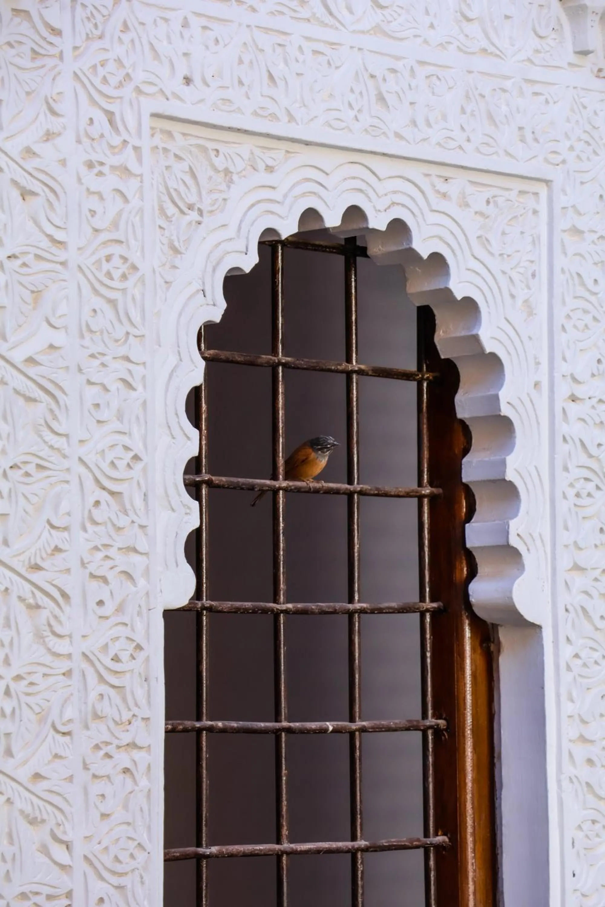 Decorative detail in Riad Melhoun & Spa