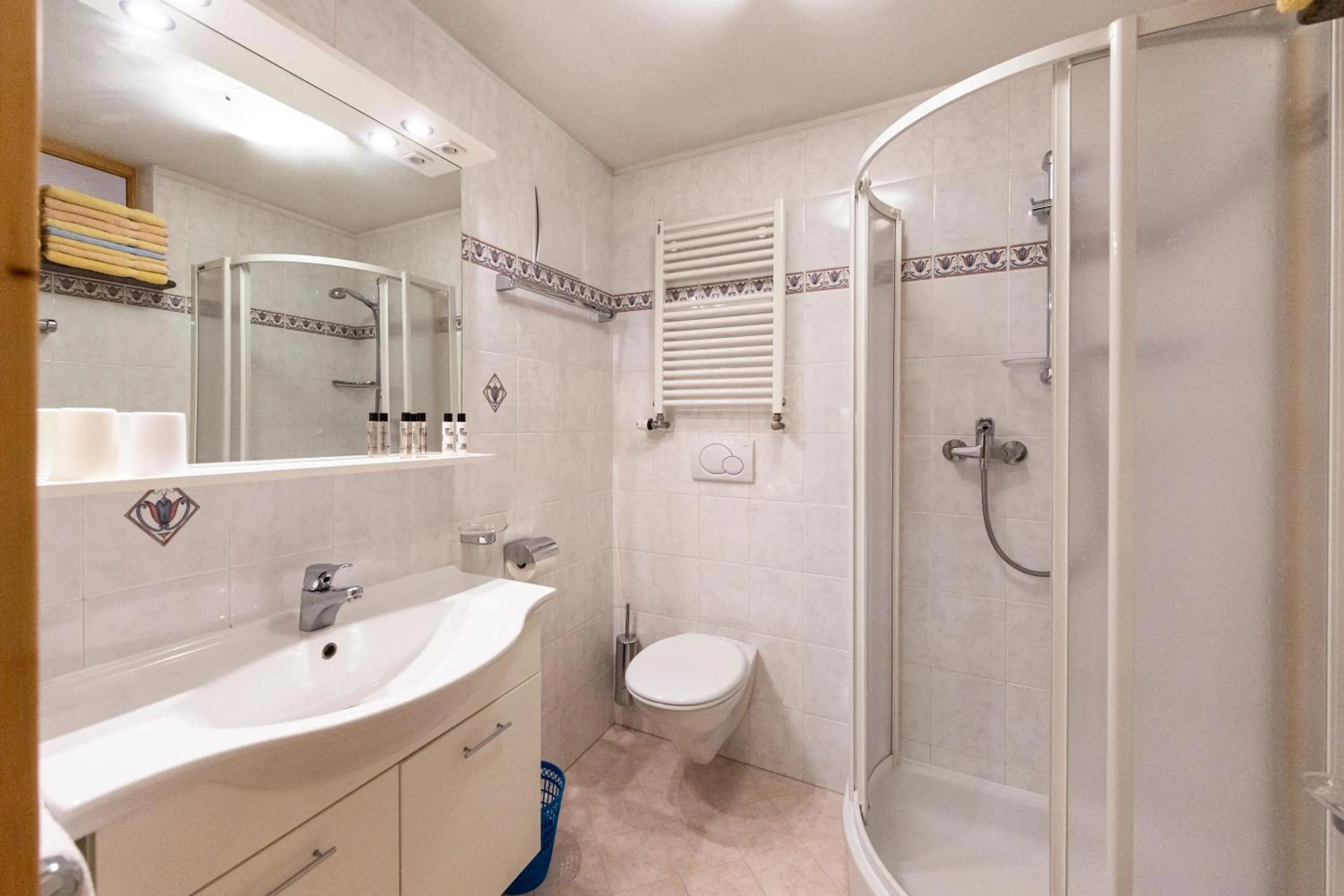 Shower in Apartments & Garnì Pre Da Nai