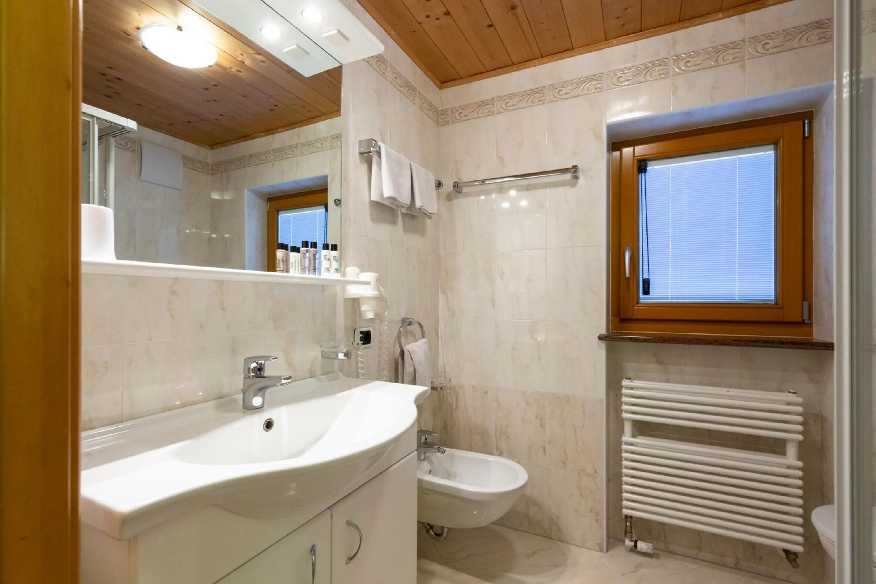 Shower in Apartments & Garnì Pre Da Nai