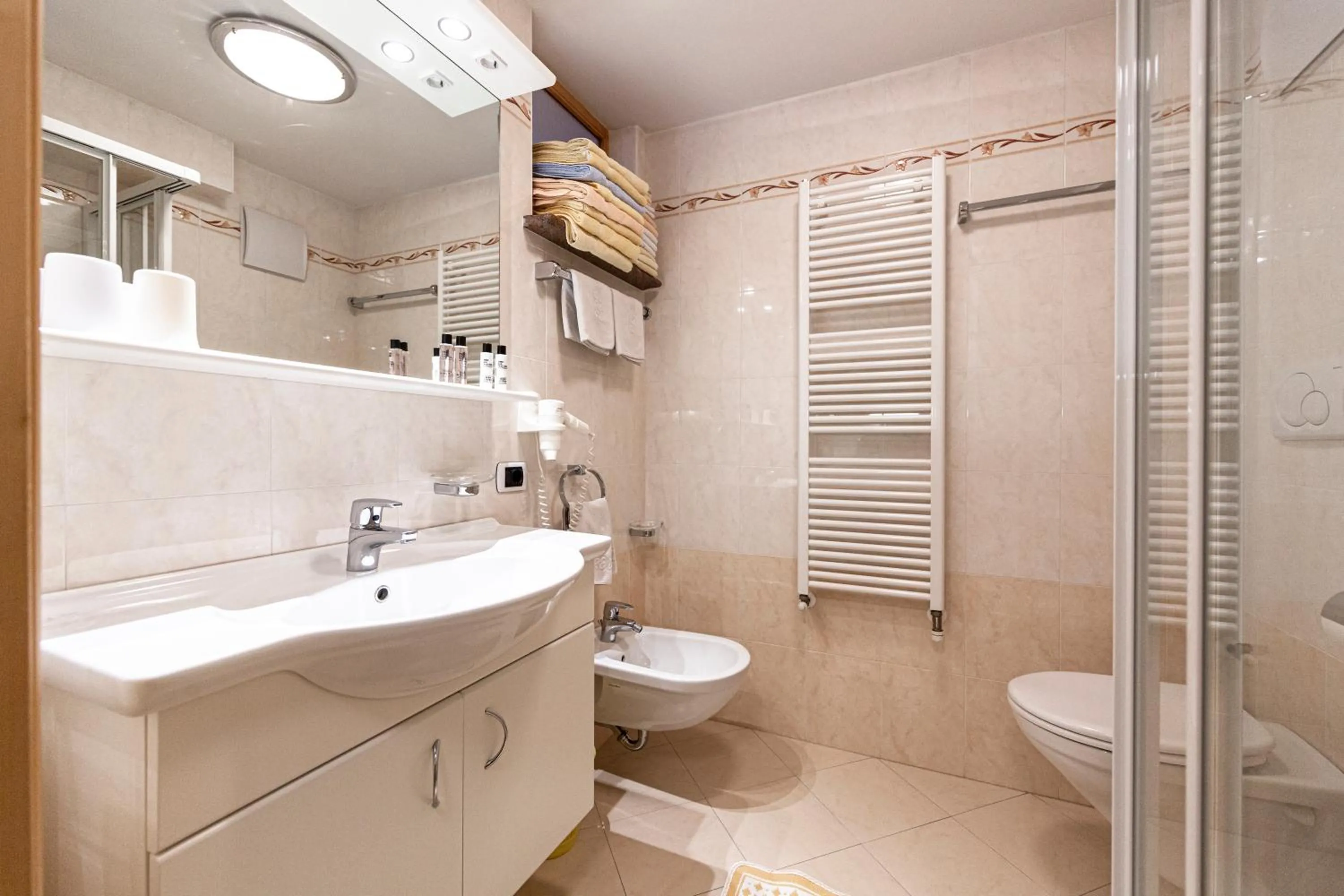 Shower in Apartments & Garnì Pre Da Nai