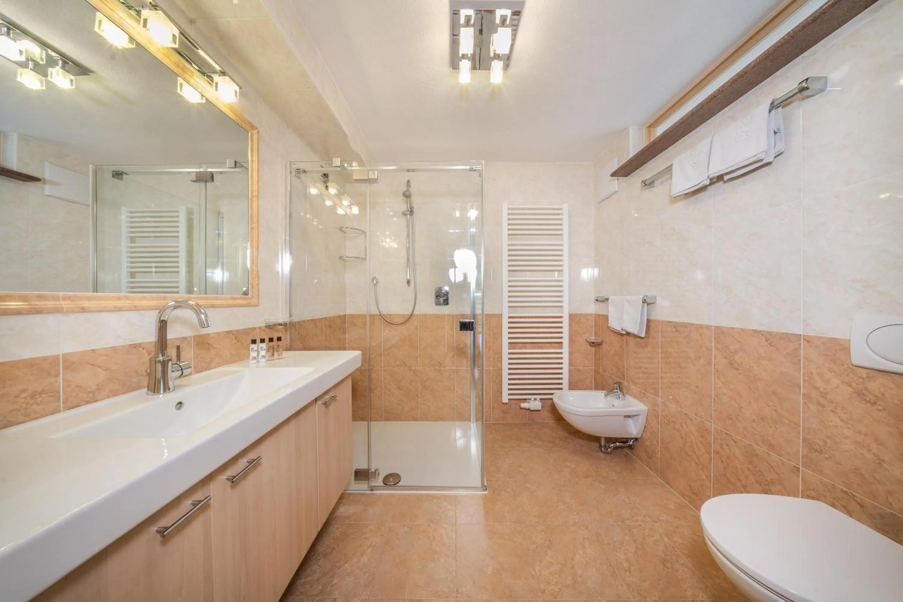 Shower in Apartments & Garnì Pre Da Nai