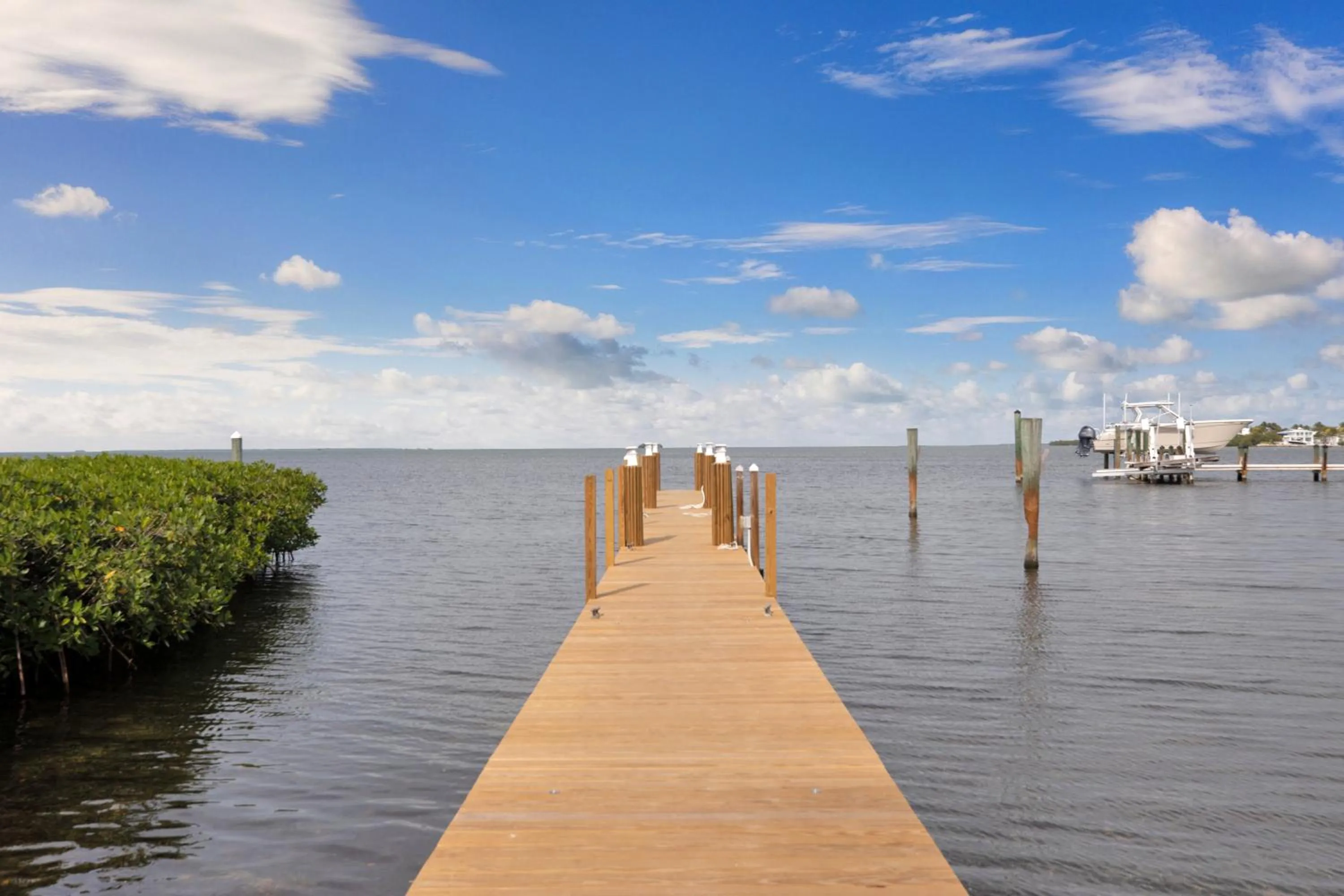 Natural landscape in Atlantic Bay Resort