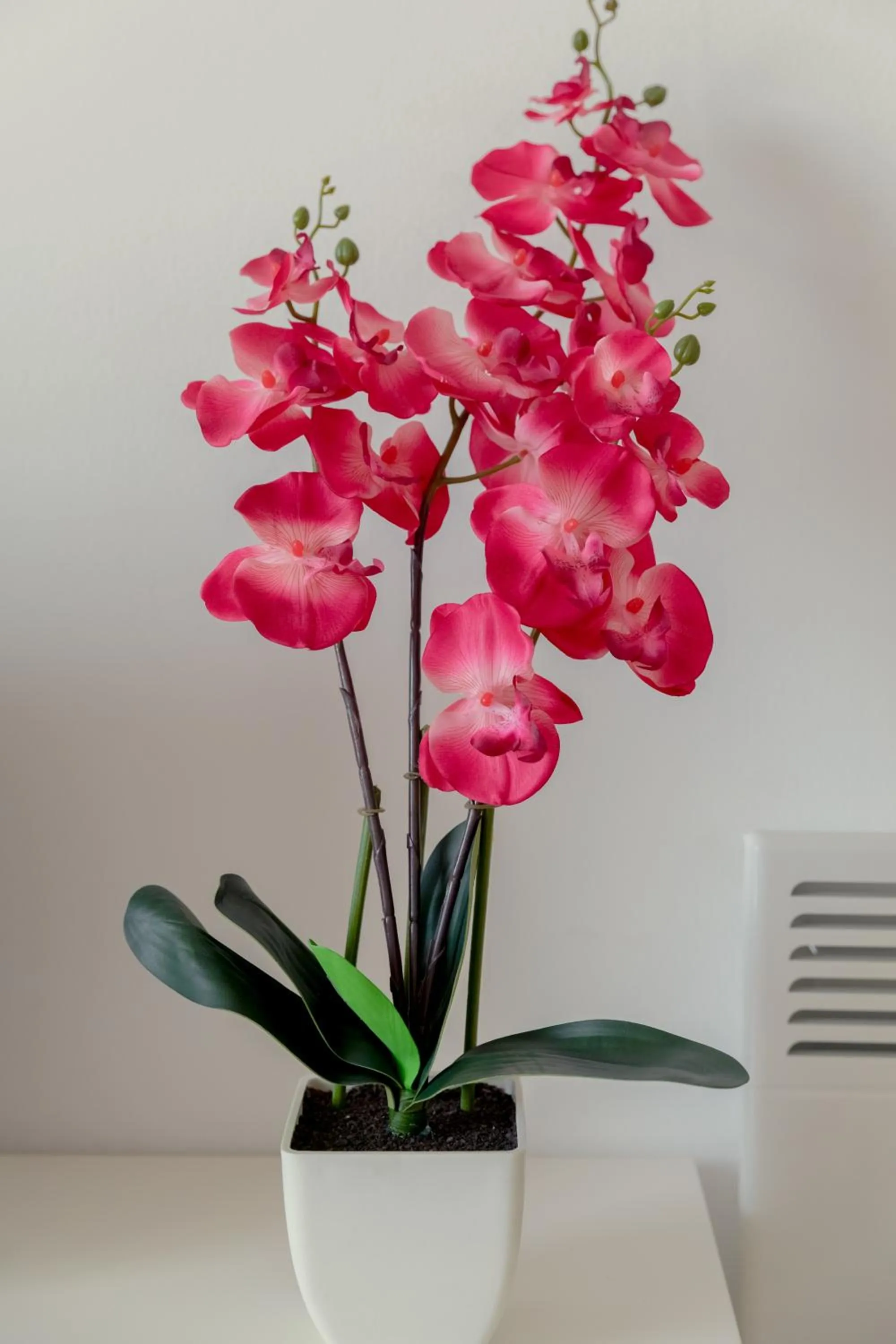 Decorative detail in Oceania Bay Village