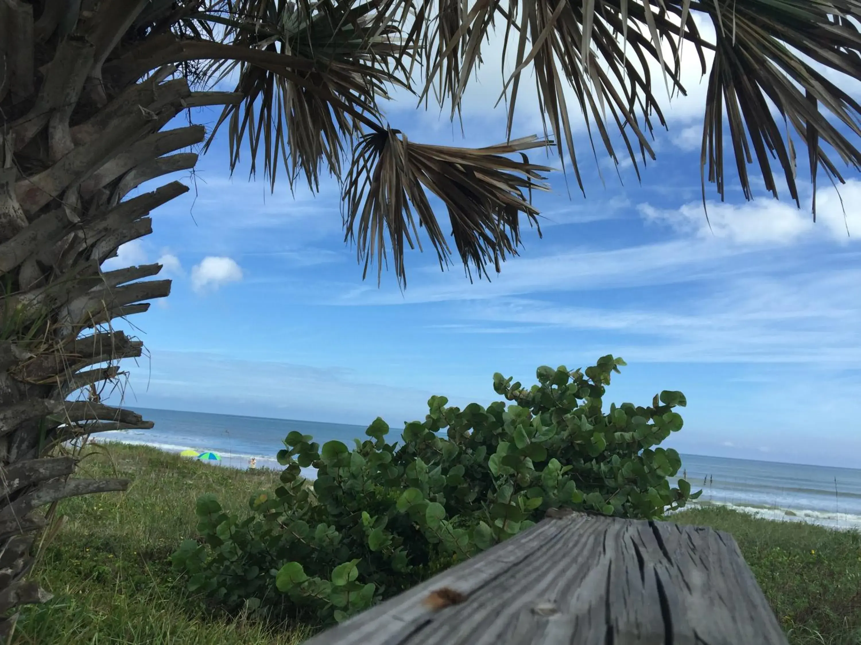 Beach, Sea View in Coral Sands Inn