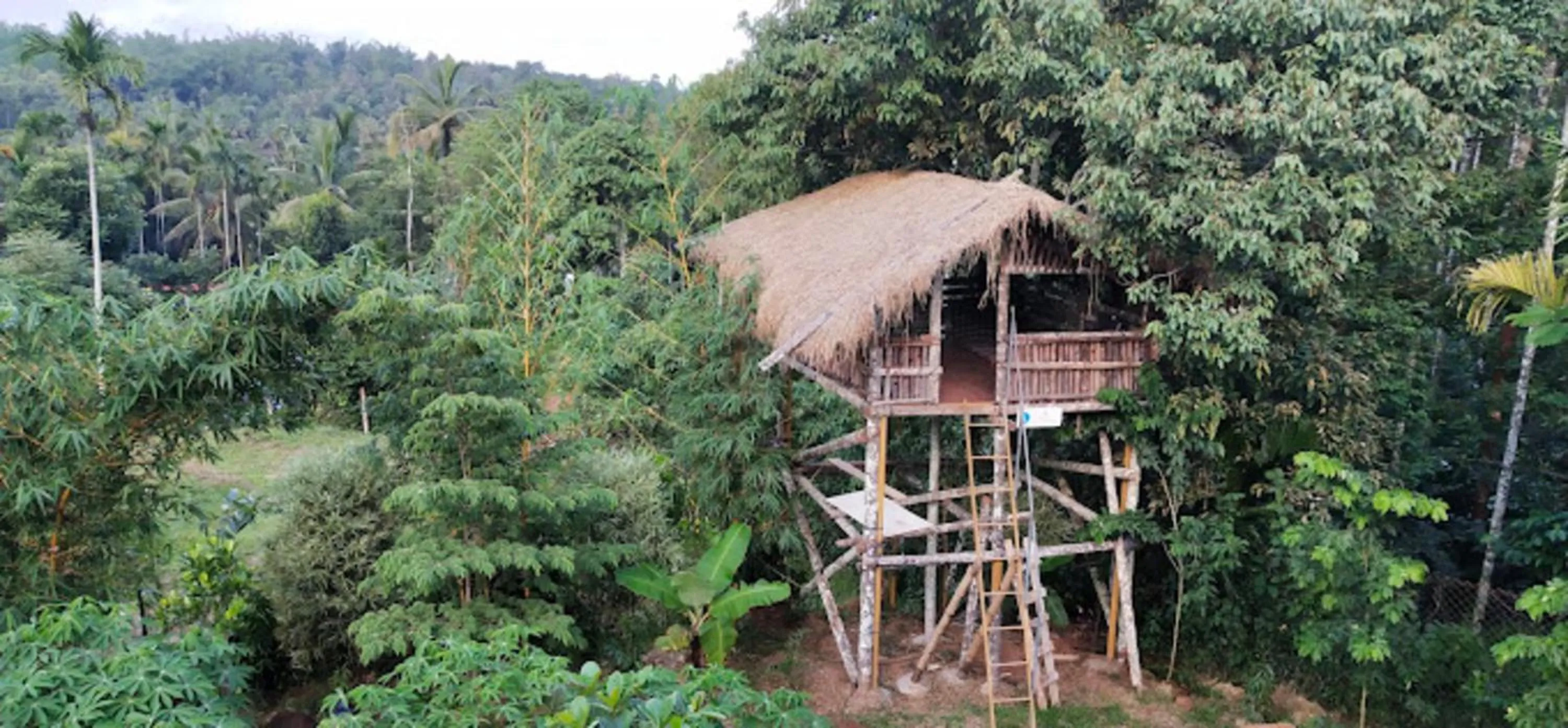 Natural landscape in Le Eden Premium Wayanad Pool Resort
