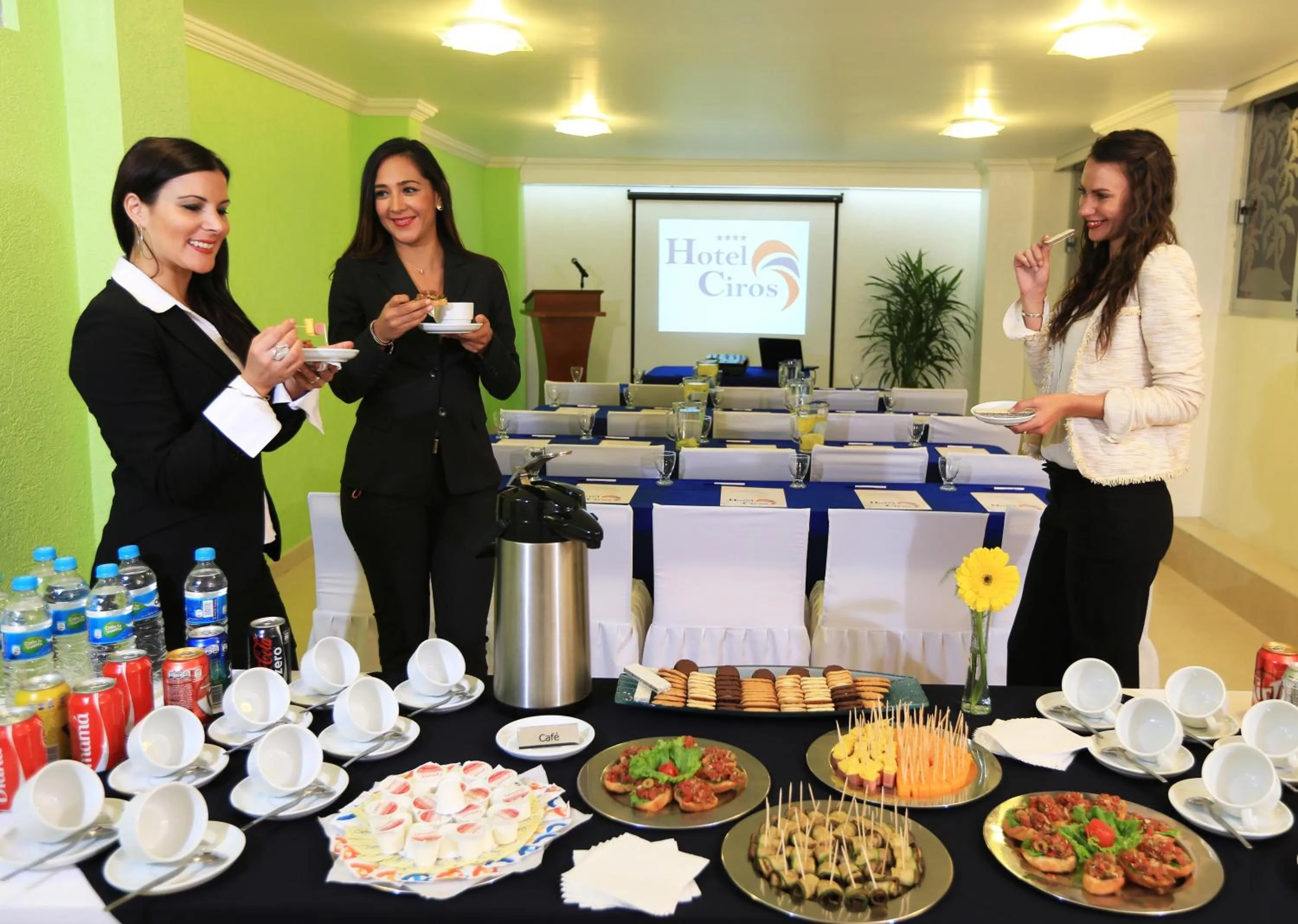 Business facilities in Hotel Ciros