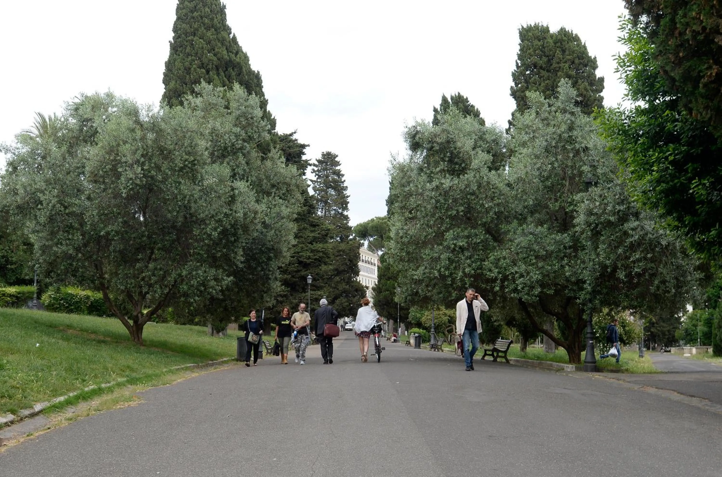 Property building in MECENATE DELUXE COLOSSEUM