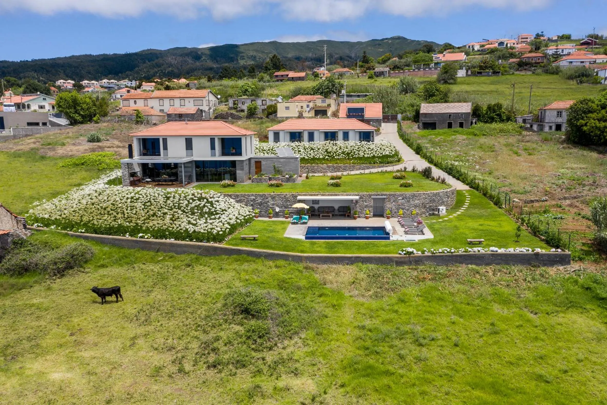 Bird's eye view in OurMadeira - Quinta Inácia