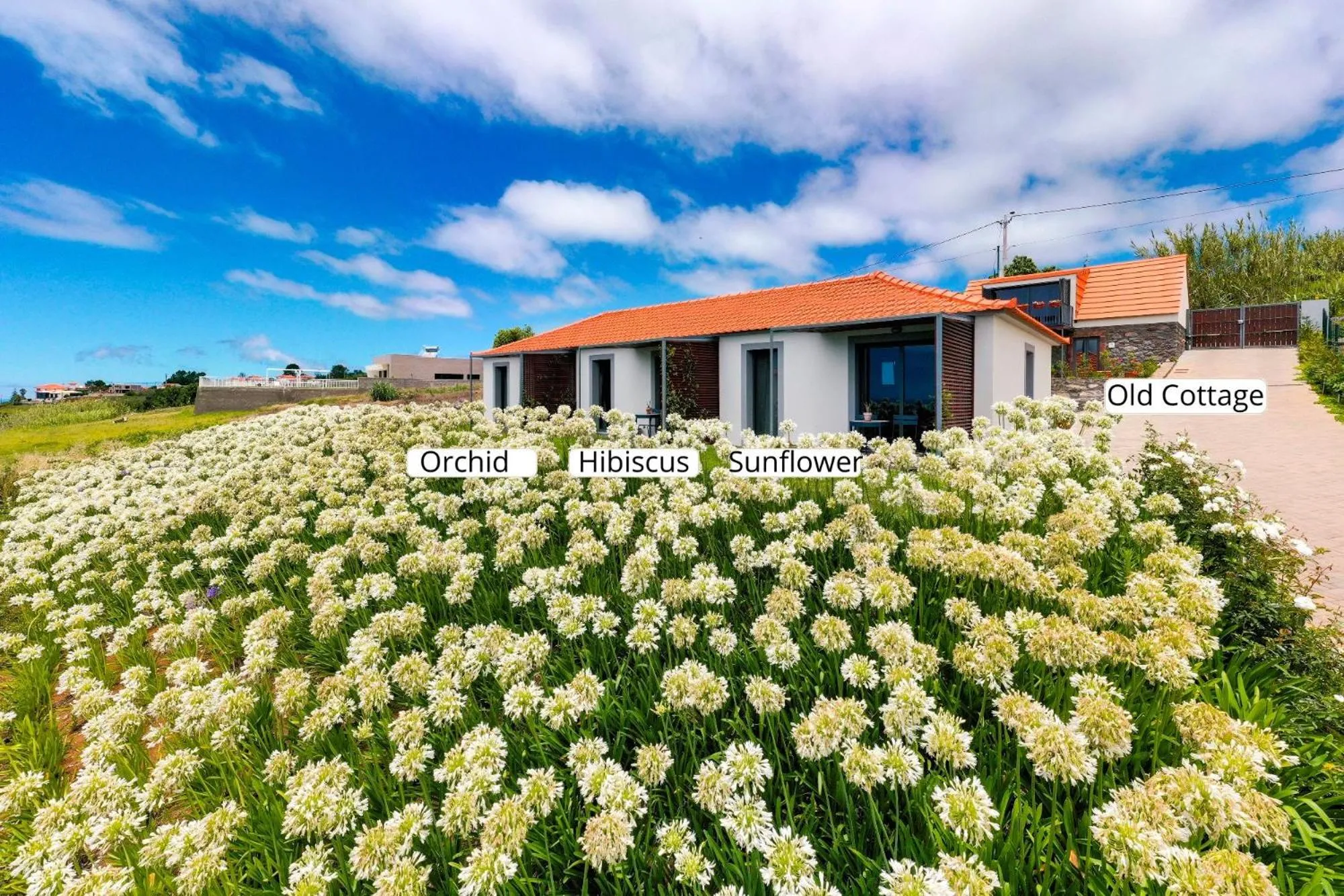 Property building in OurMadeira - Quinta Inácia