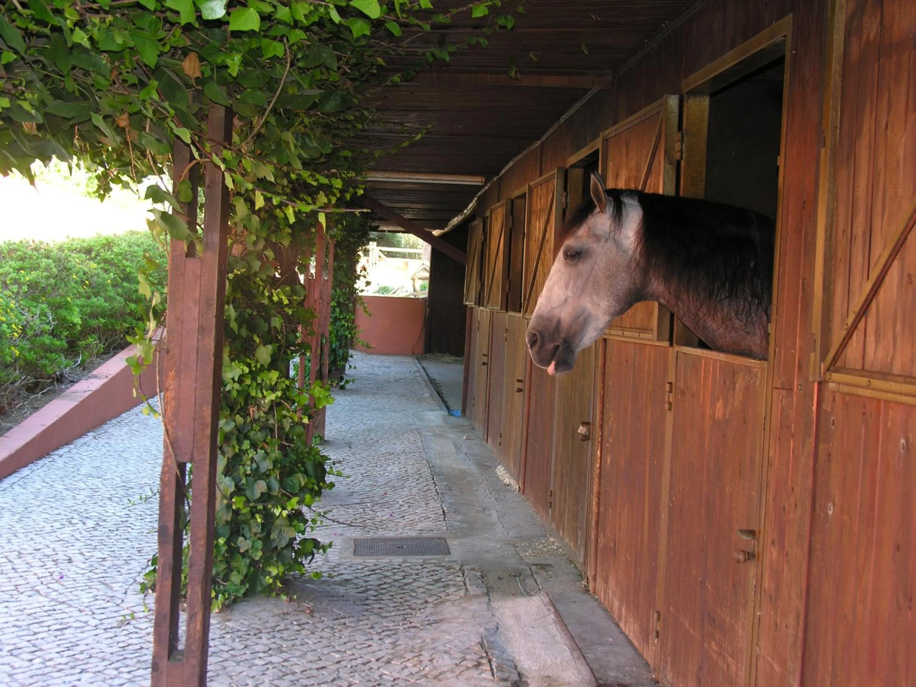 Garden in Quinta Tagus