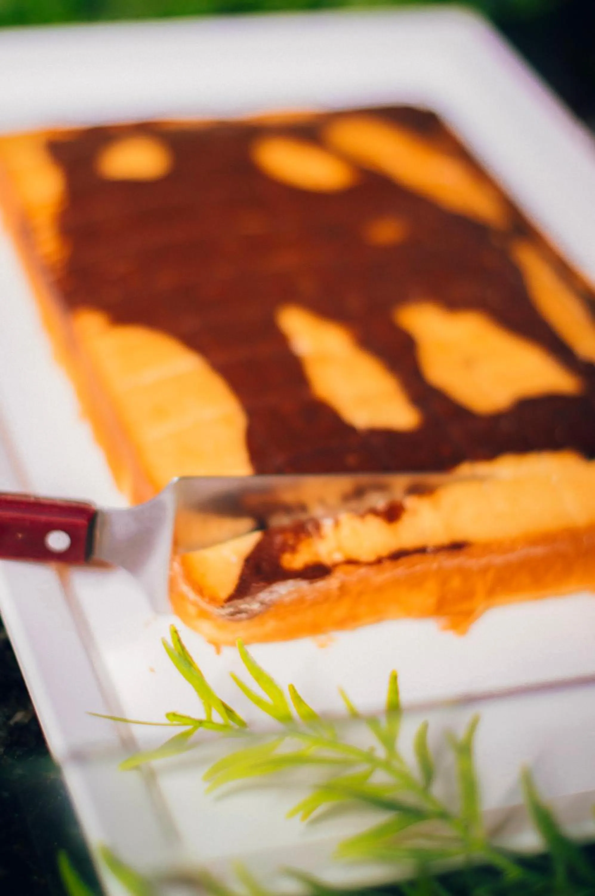 Garça Branca Praia Hotel