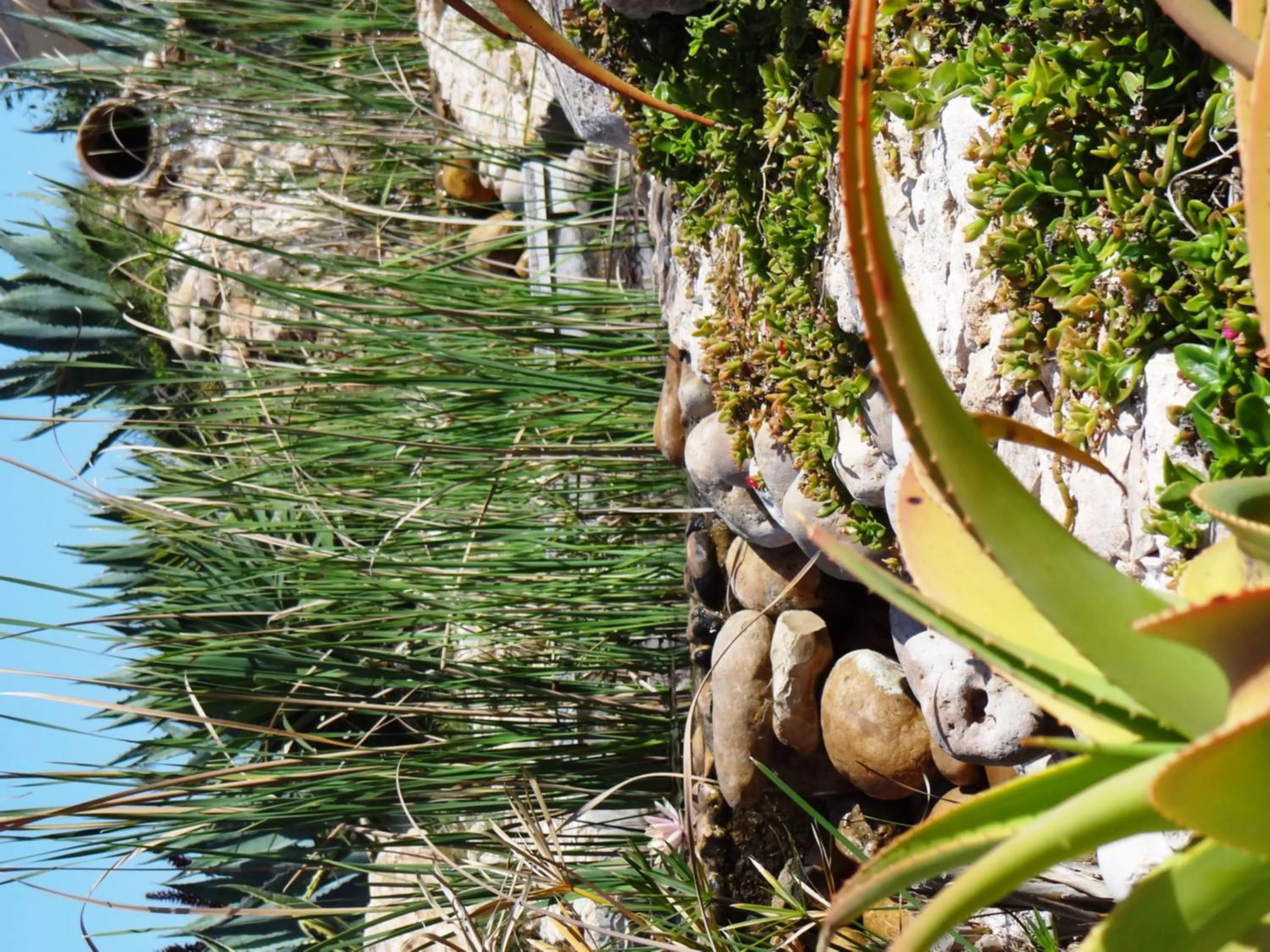 Pool view in Douar Noujoum