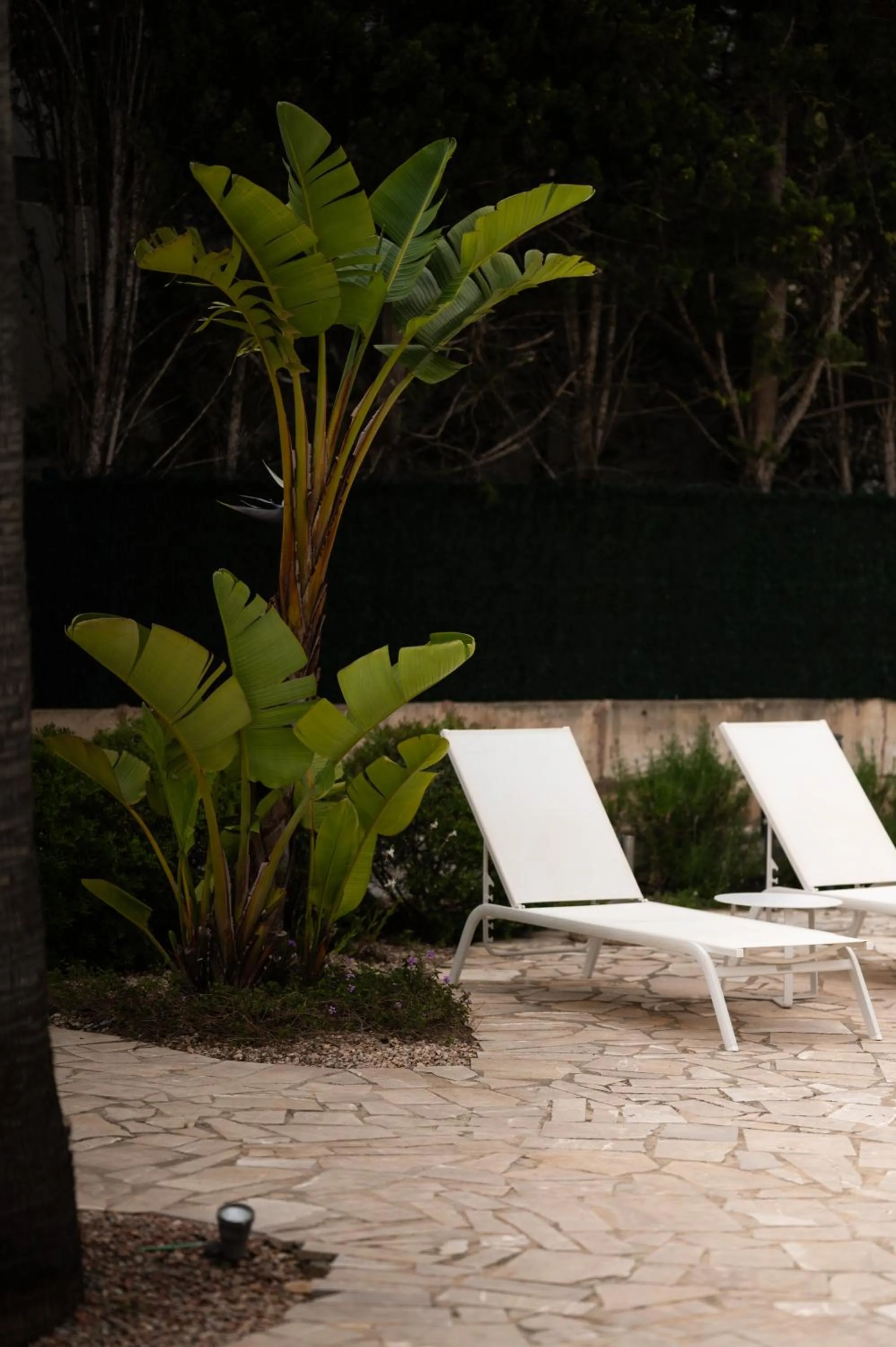 Garden in Sol i Vida Hotel - Adults Only