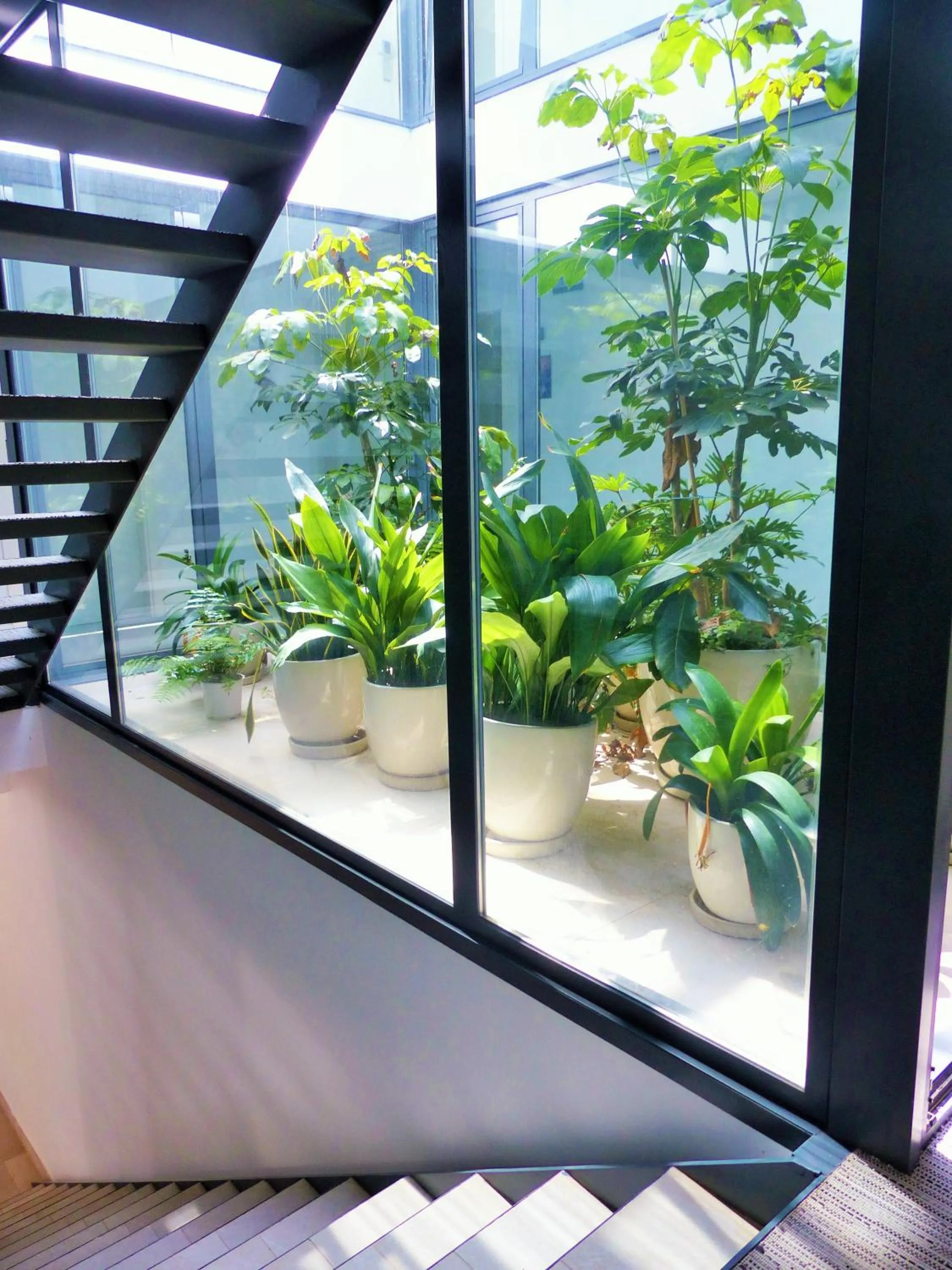 Day in Sol i Vida Hotel - Adults Only