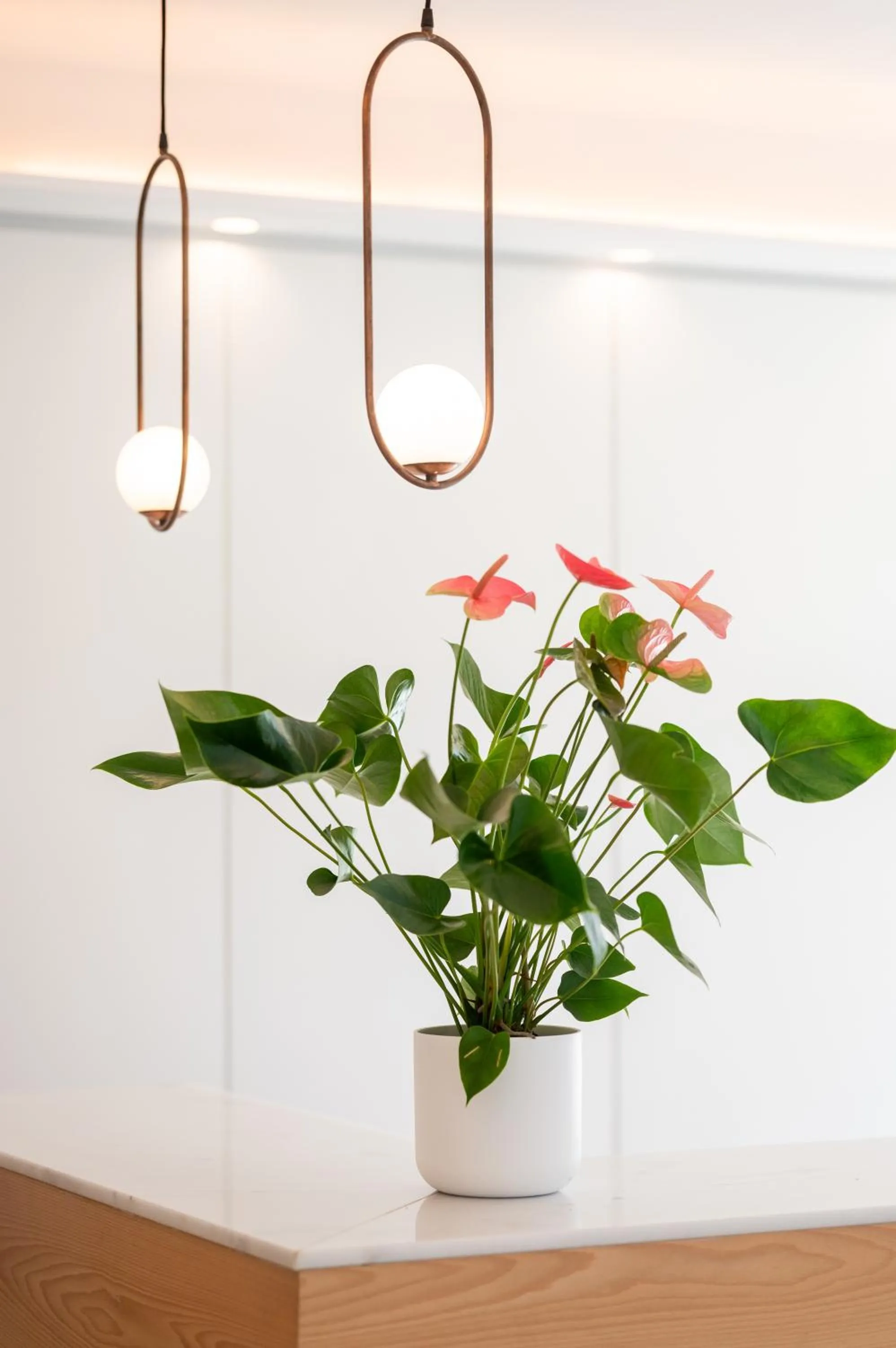 Decorative detail in Sol i Vida Hotel - Adults Only