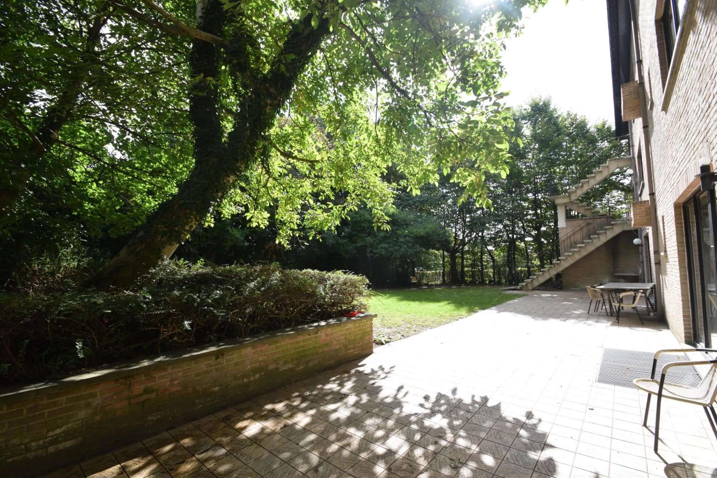 Garden in Budget Flats Brussels