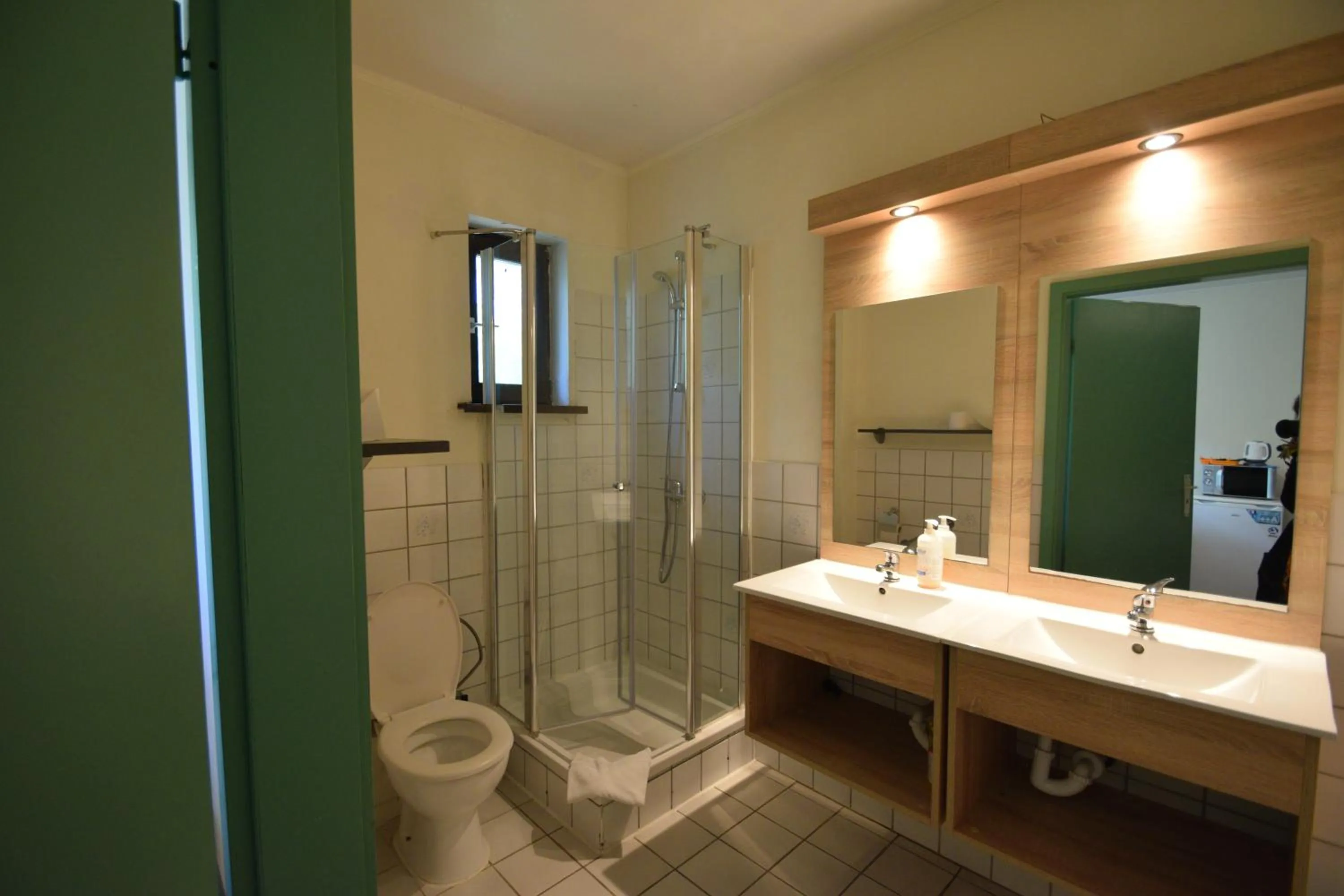 Shower in Budget Flats Brussels