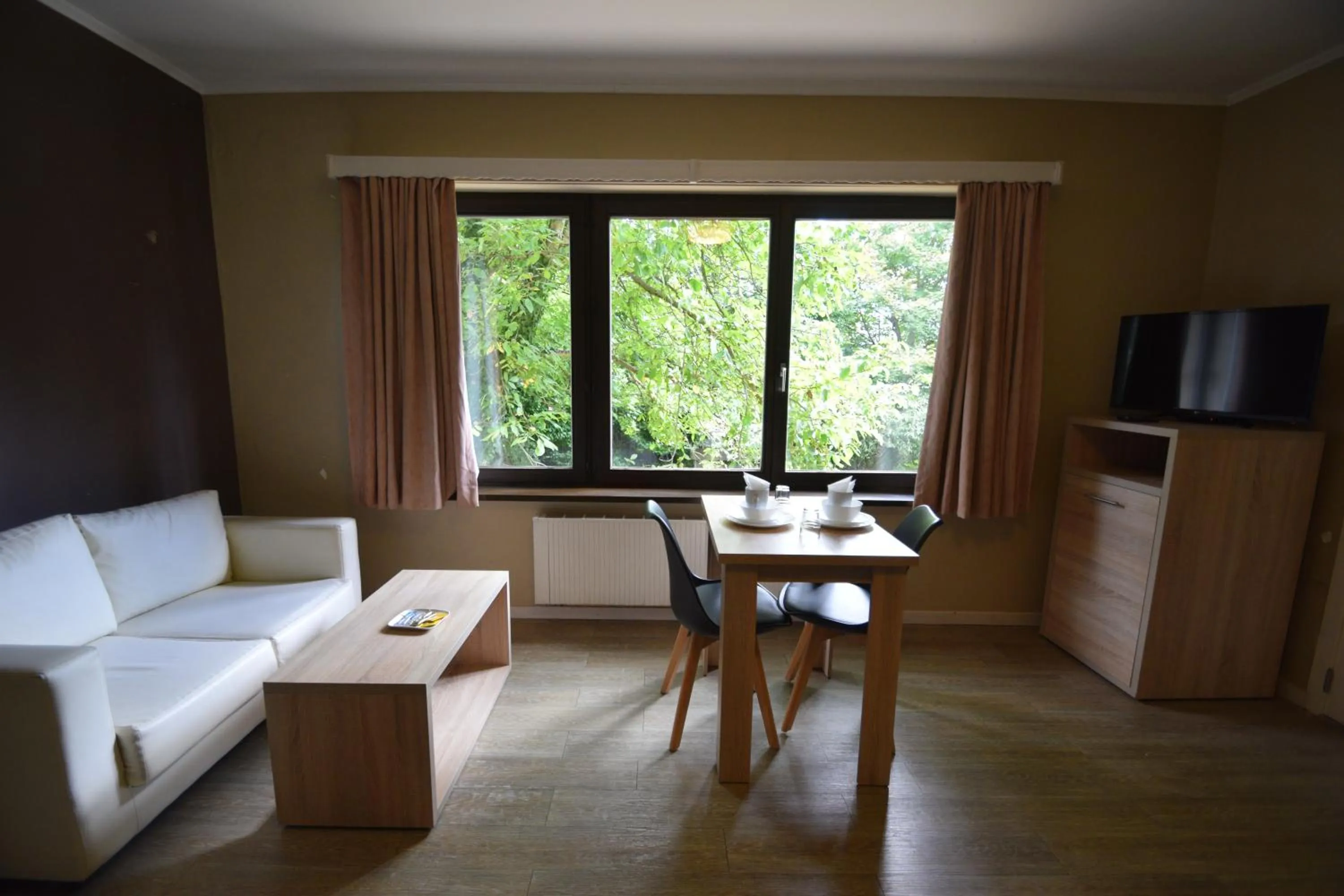 TV and multimedia in Budget Flats Brussels