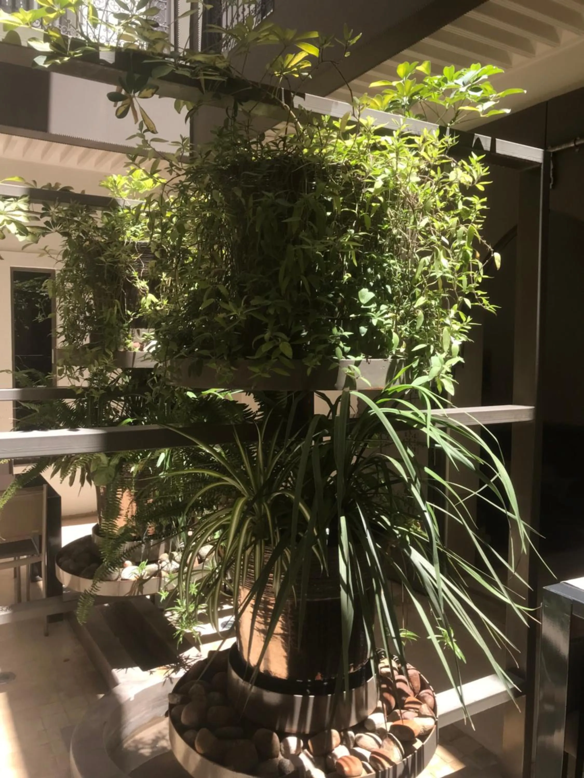 Patio in Riad Dar 73