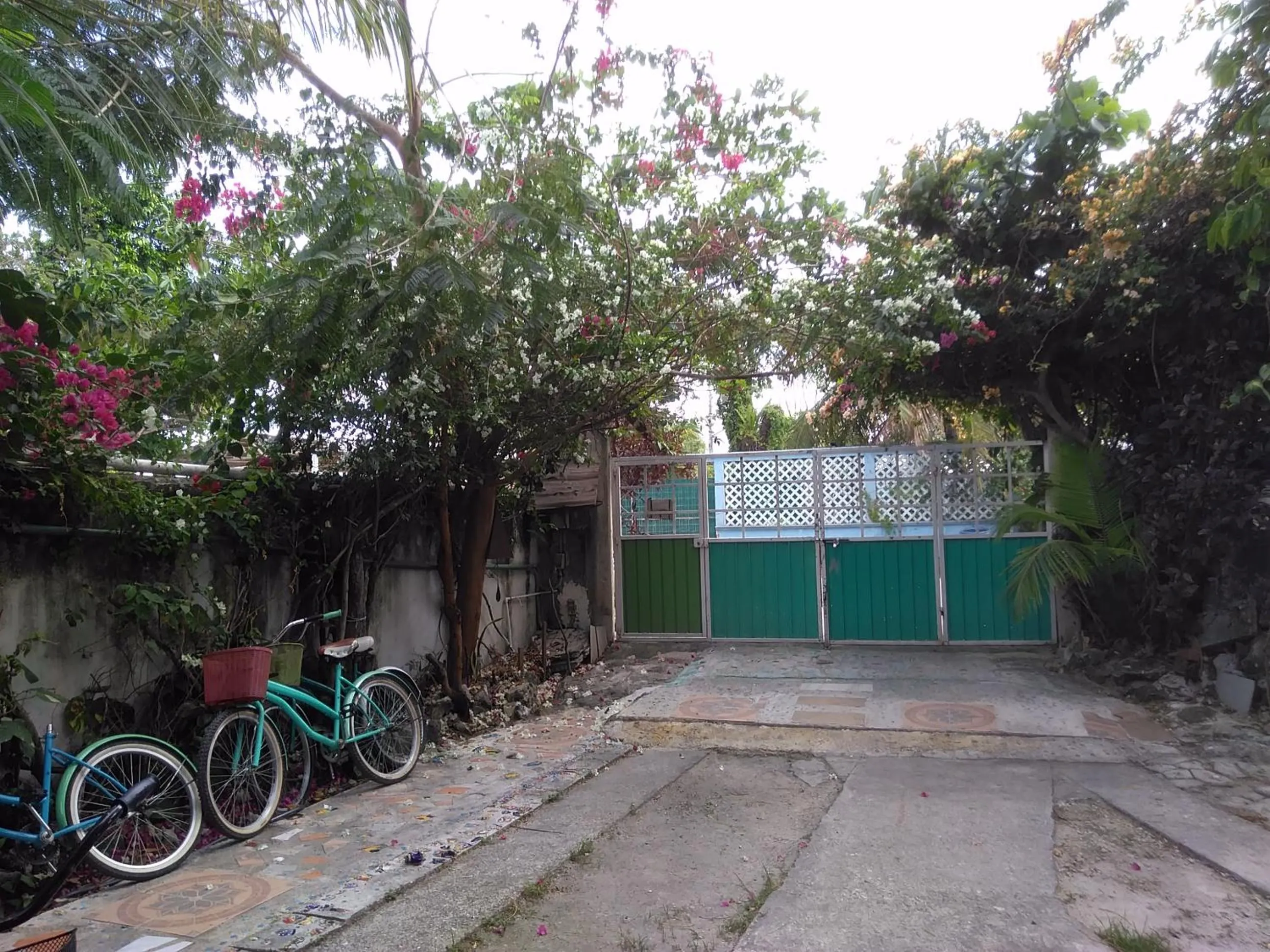 Property building in Buenos Días Guest House