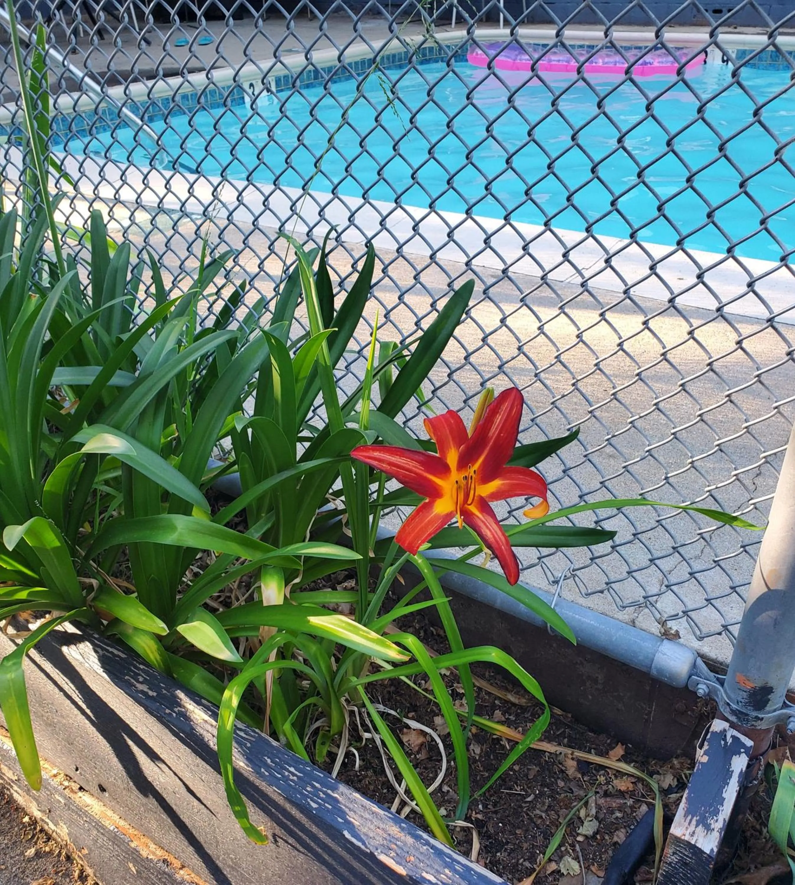Natural landscape in The Gold Lodge