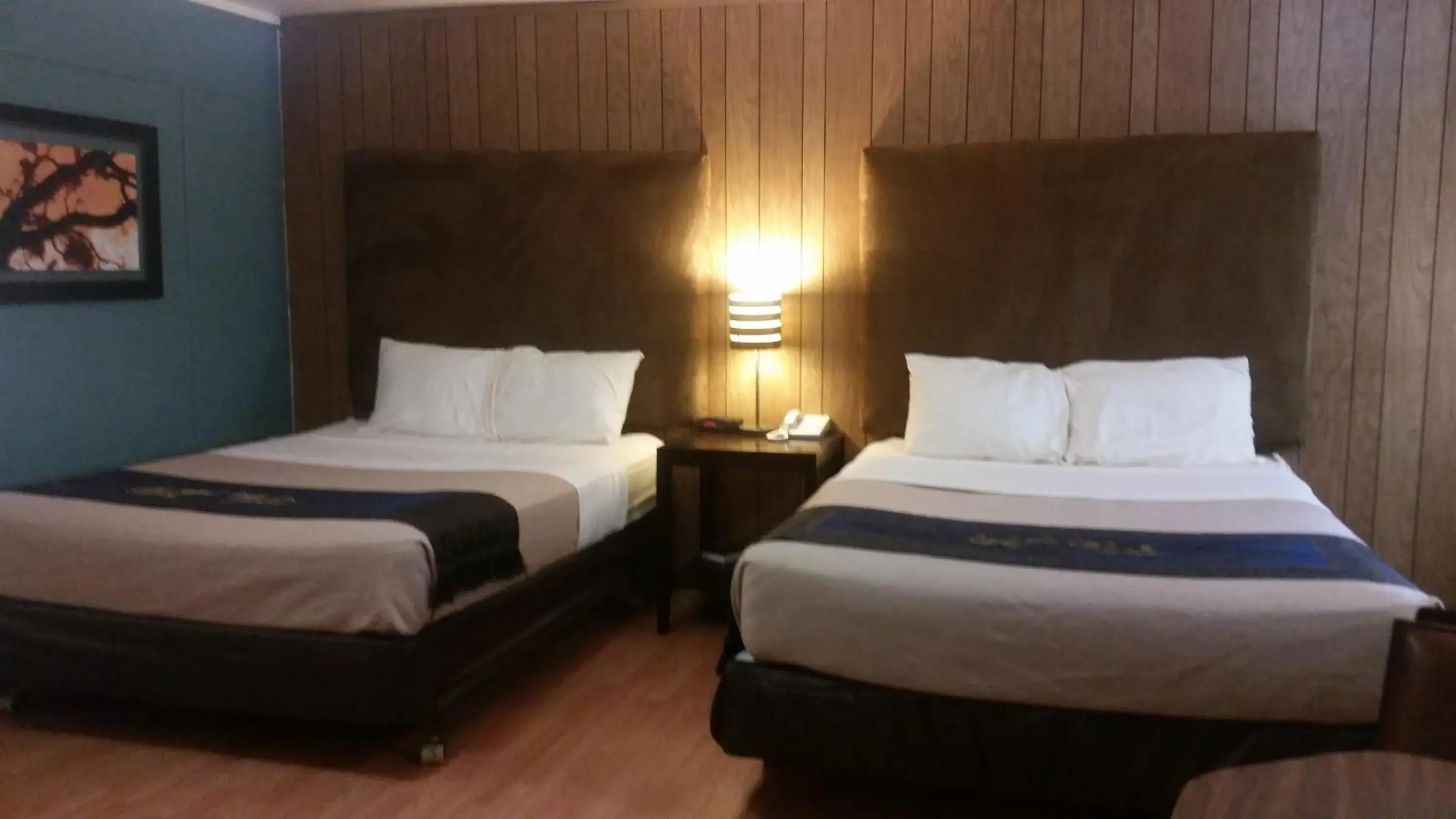 Mini Suite in The Gold Lodge Mini Suite in The Gold Lodge