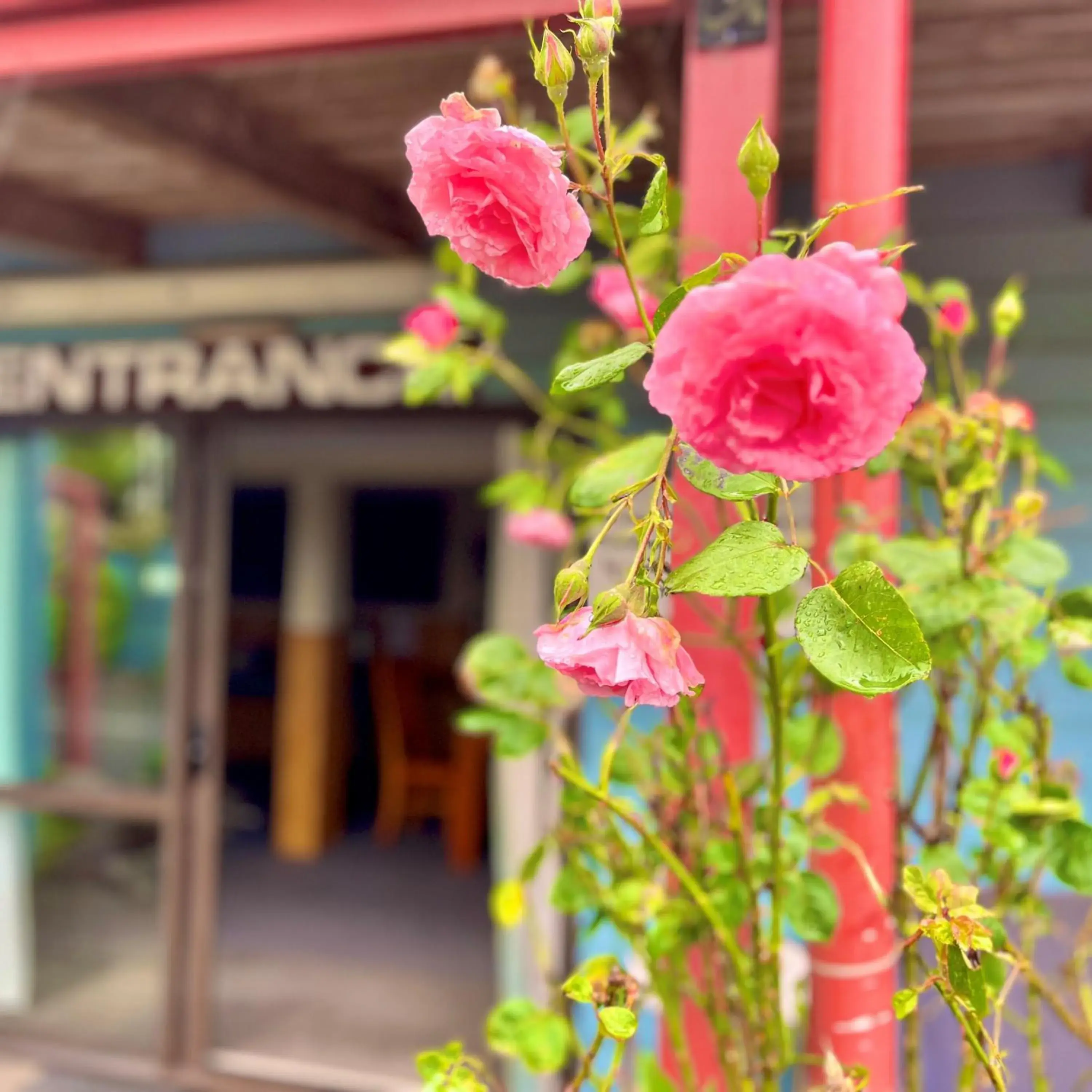 Facade/entrance in Adventure Lodge and Motels and Tongariro Crossing Track Transport Facade/entrance in Adventure Lodge and Motels and Tongariro Crossing Track Transport