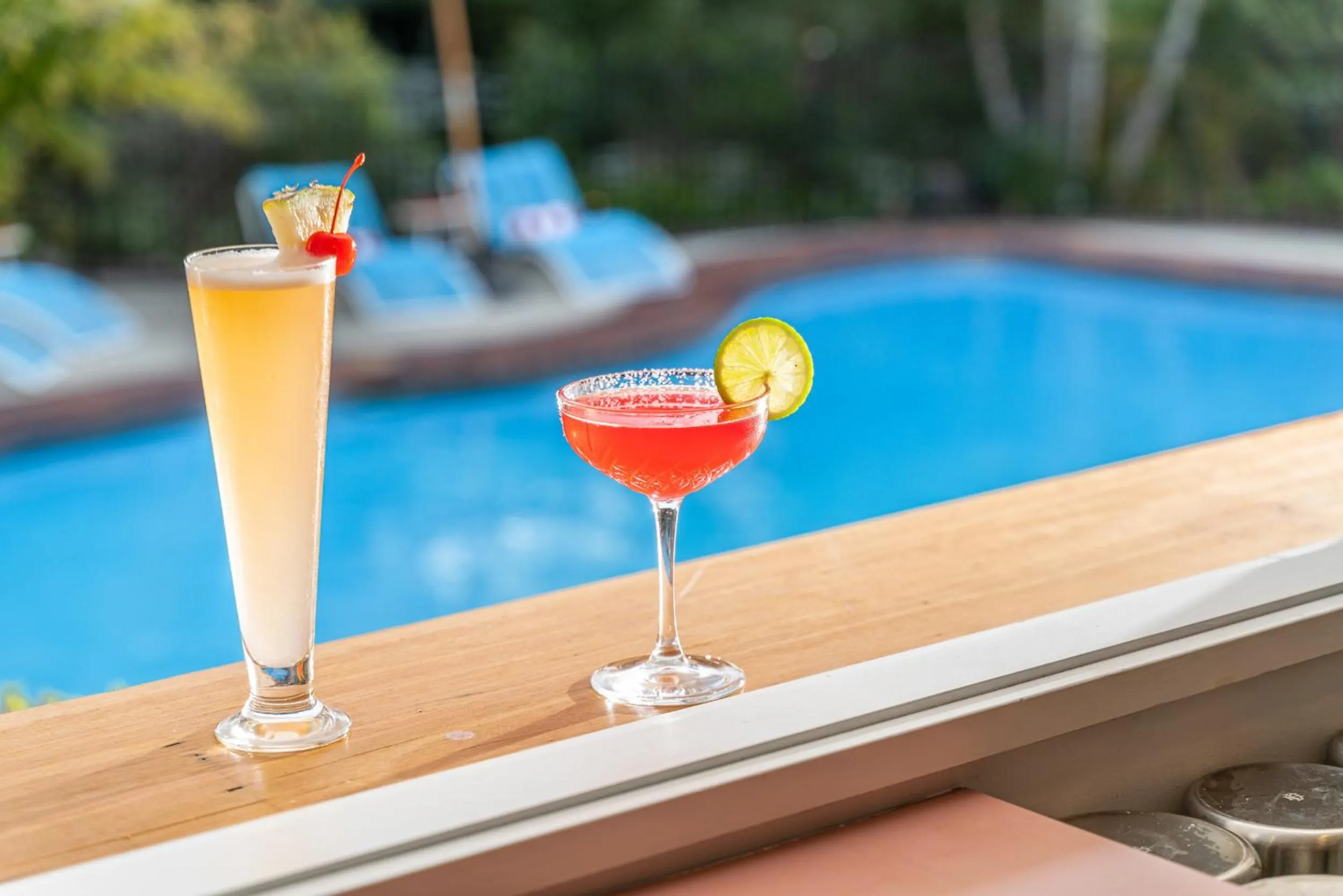 Alcoholic drinks in The Cubana Resort Nambucca Heads