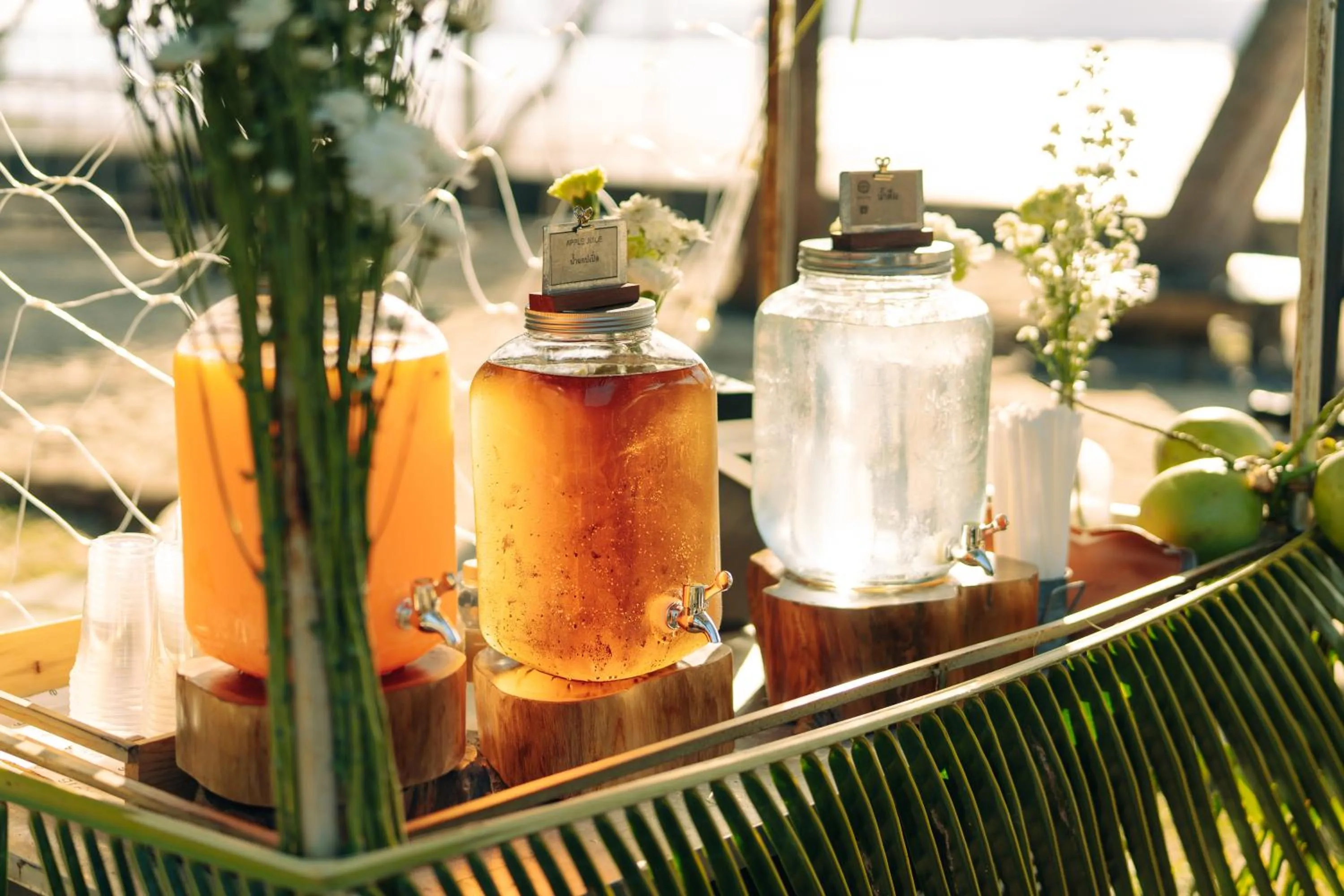 Restaurant/places to eat in The Mangrove Phuket by Blu Monkey