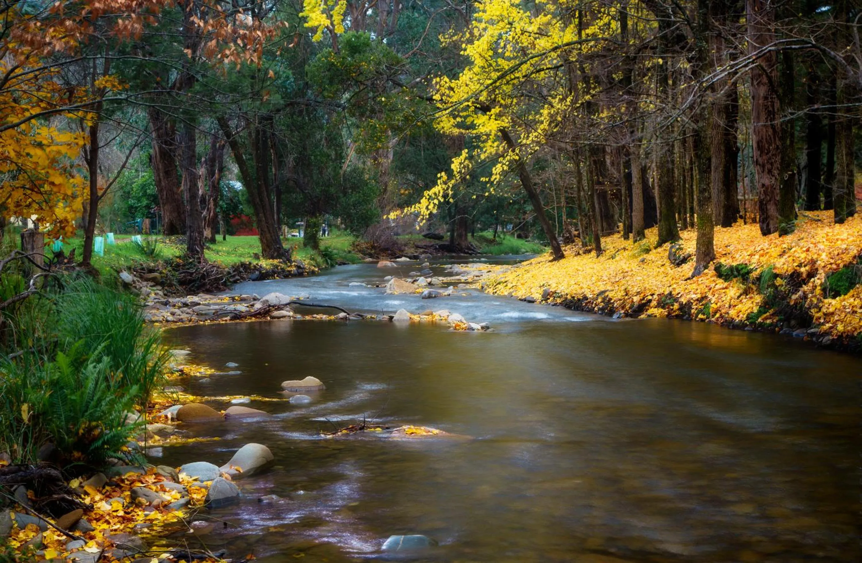 Natural landscape in Goldfield Holiday Units