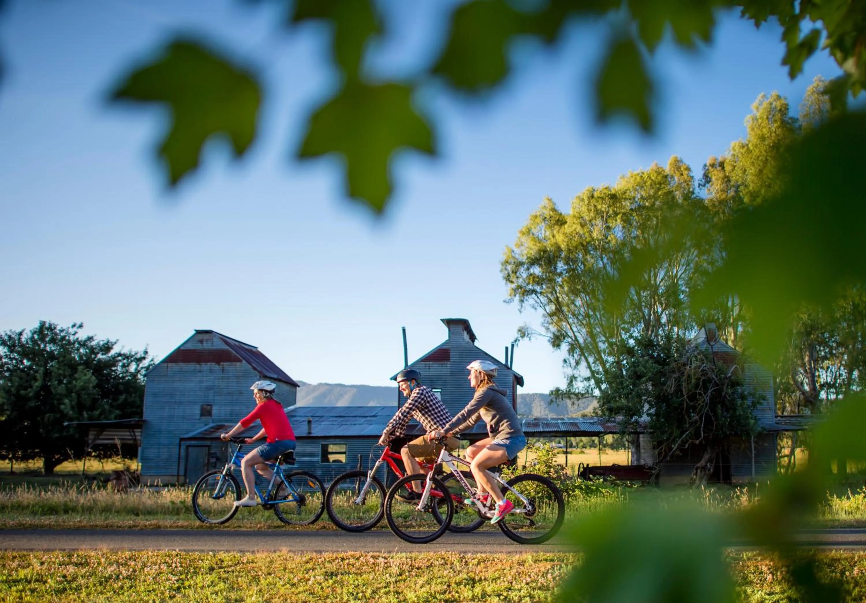 Cycling in Goldfield Holiday Units