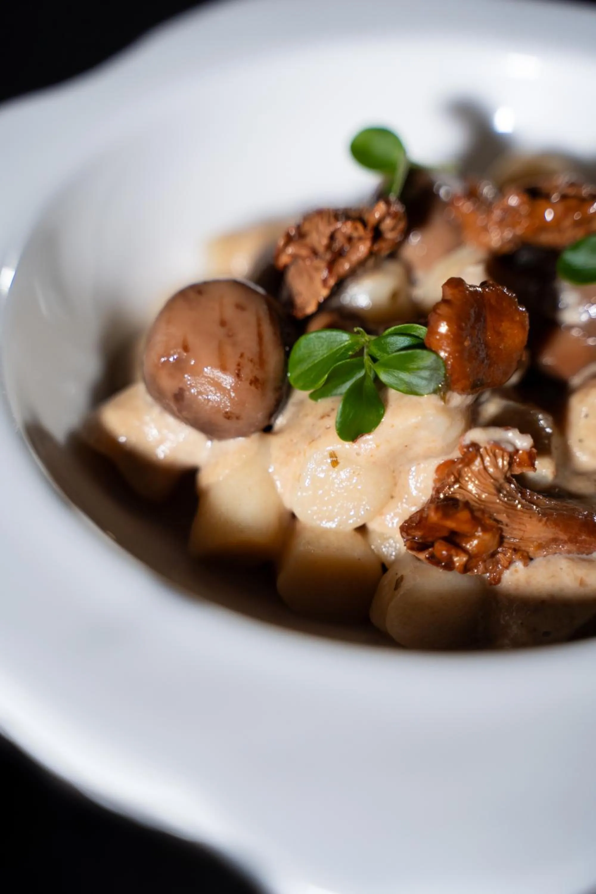 Restaurant/places to eat in Hotel Vittoria