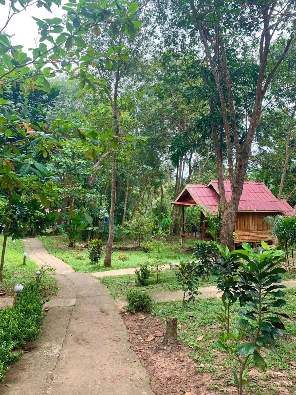 Jungle Hill Beach Bungalow