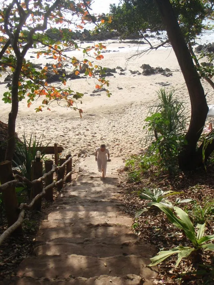 Beach in Jungle Hill Beach Bungalow